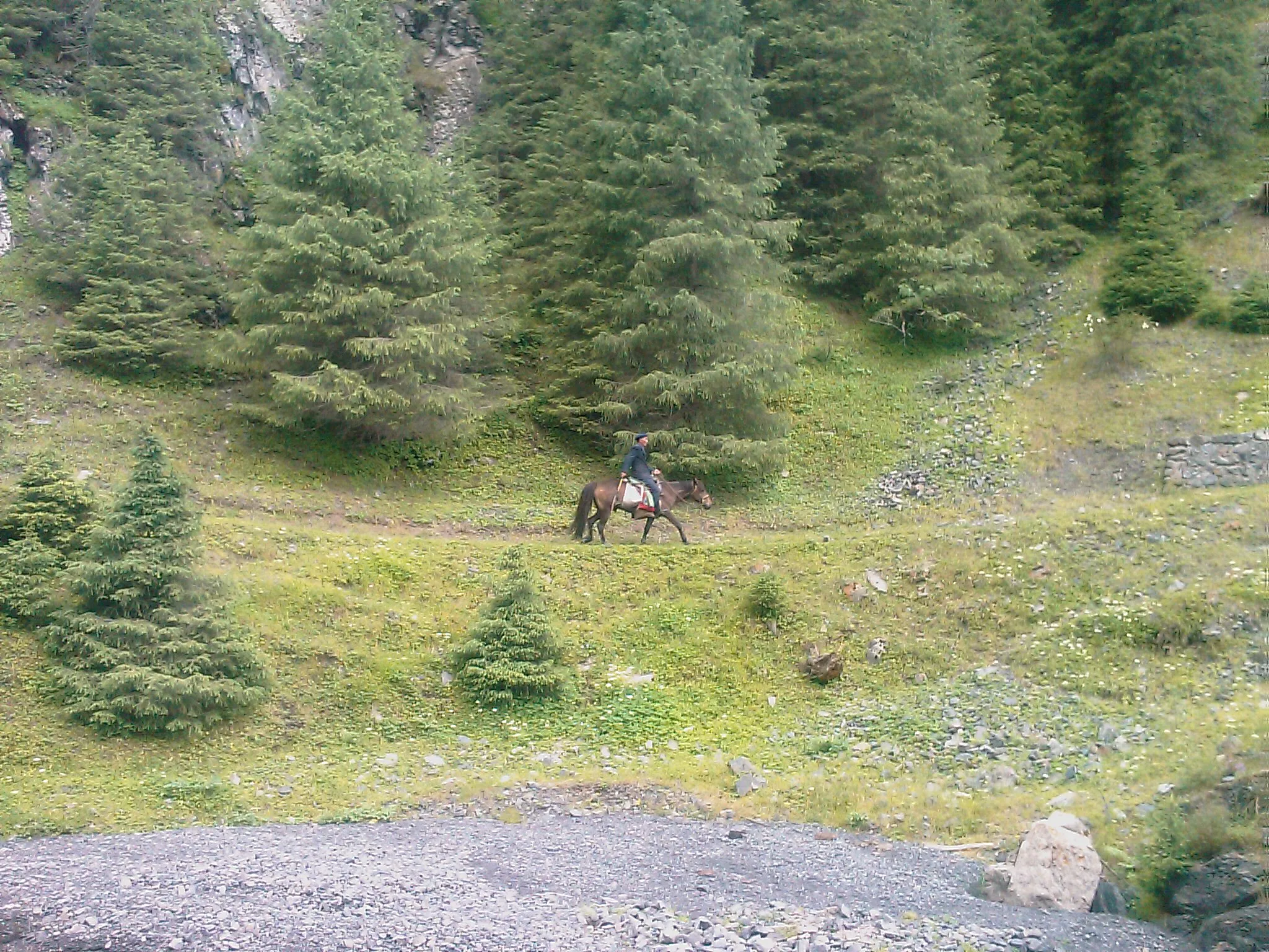馬を操る南山牧場のおじさん