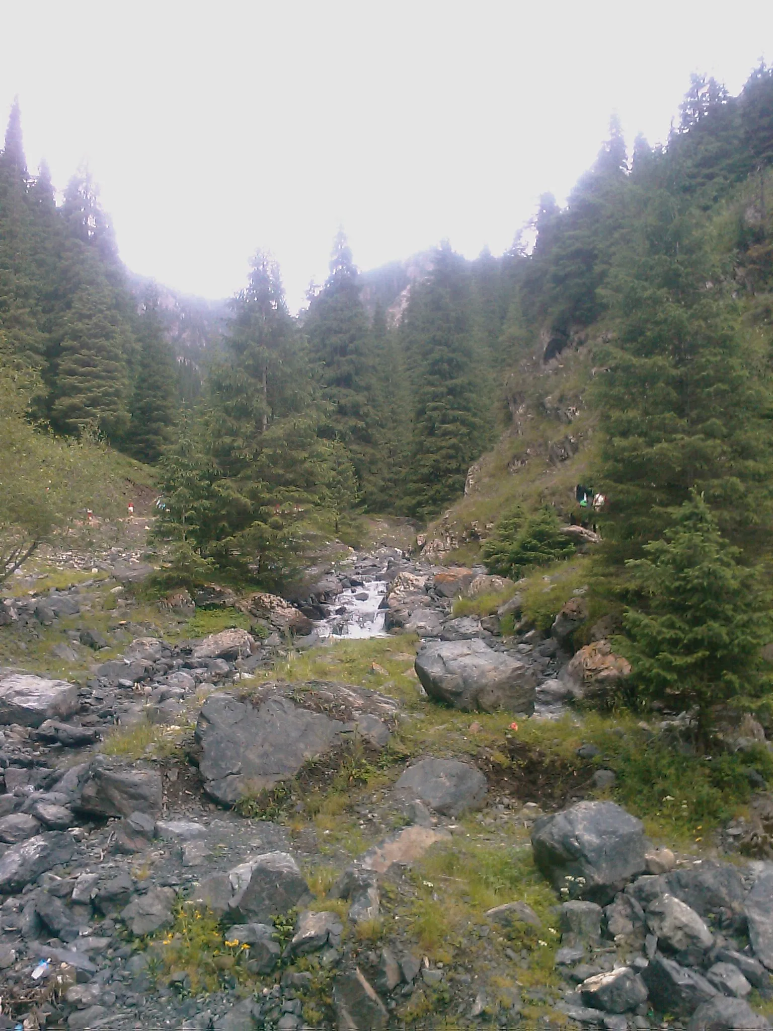 南山牧場のきれいな河