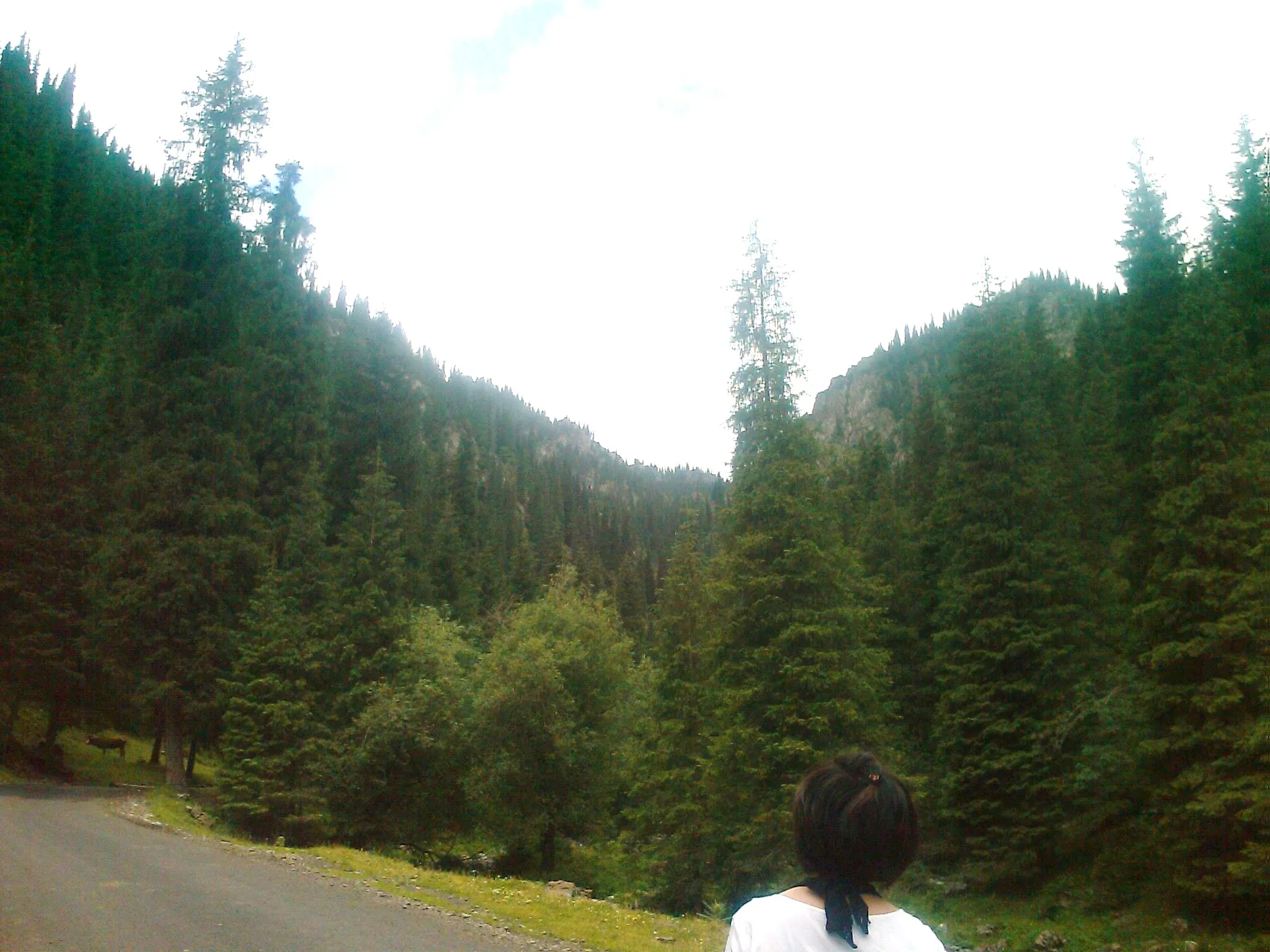 南山牧場の観光客