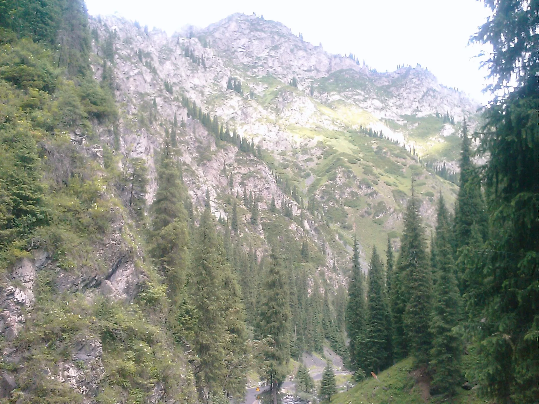南山牧場の滝からの風景