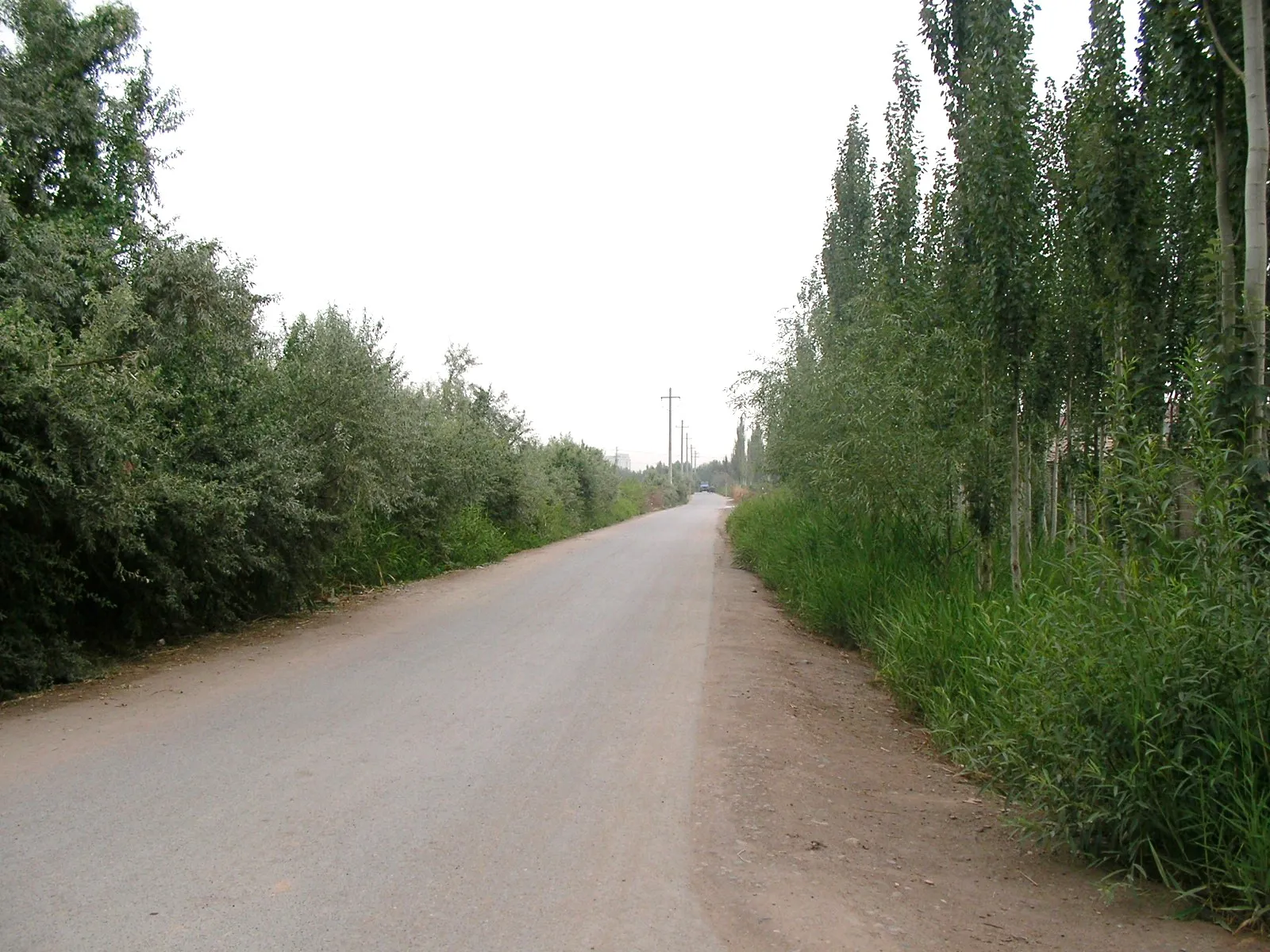 ウイグル自治区独特の風景