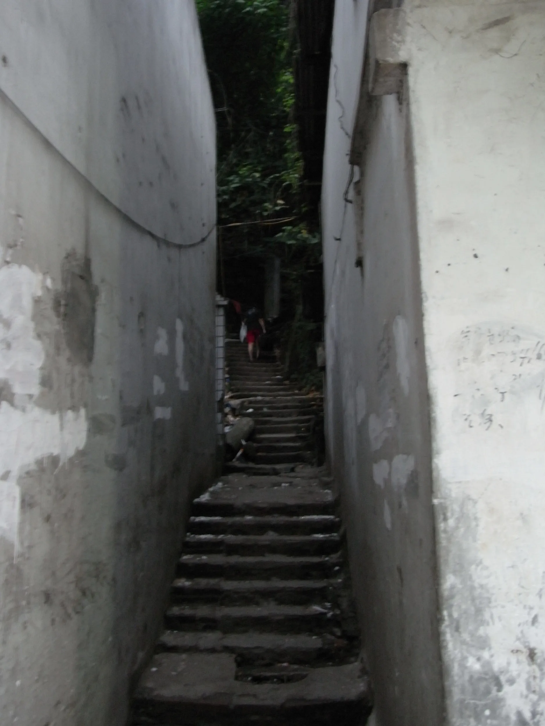 沙坪壩区の嘉陵江沿いのアパート付近