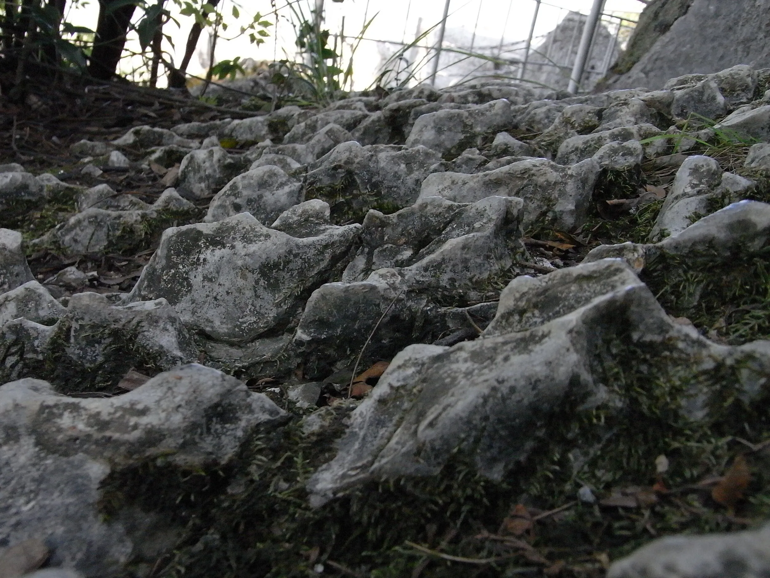 ローアングルで撮った石灰岩
