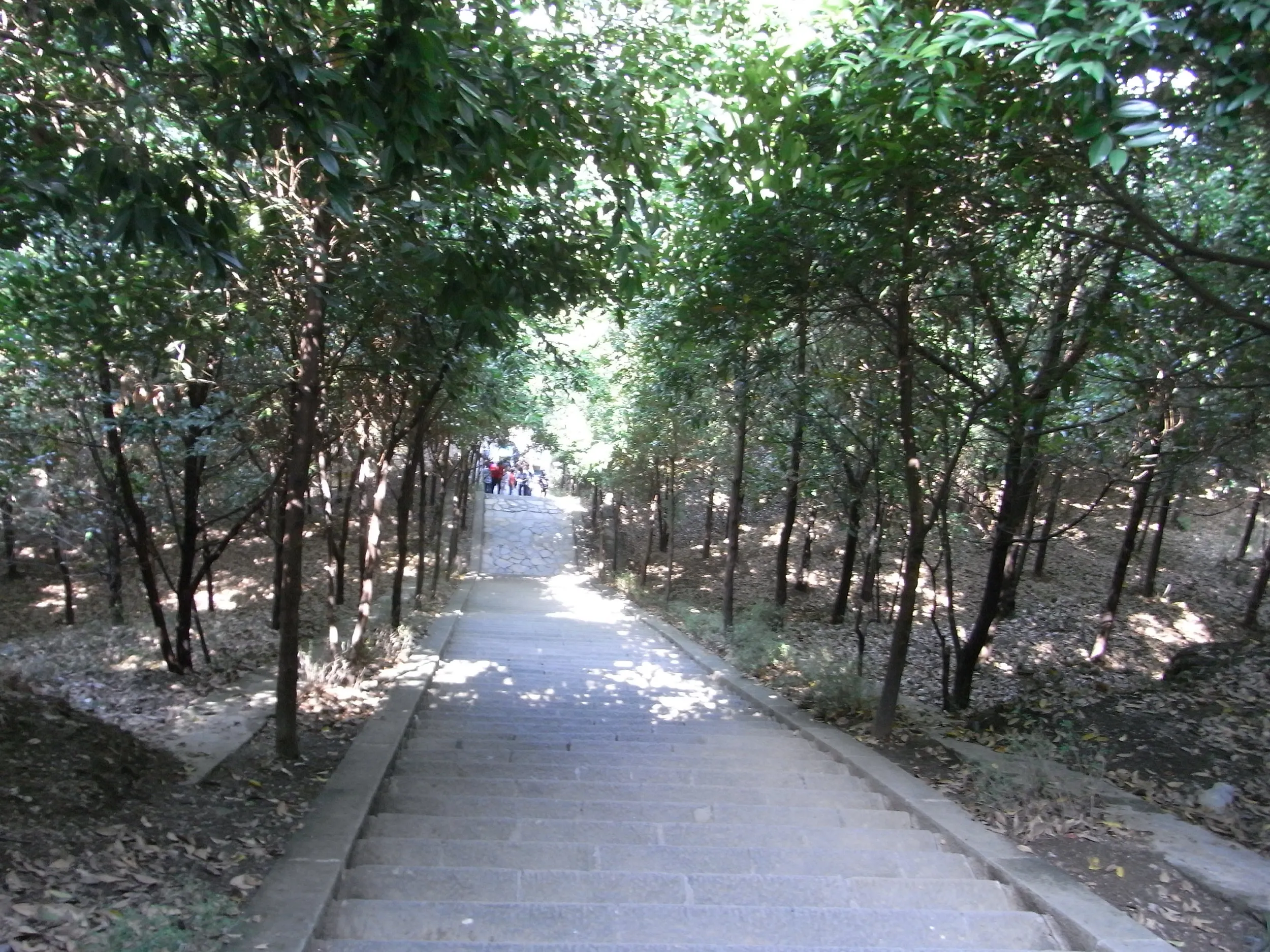 階段を駆け下りる風景