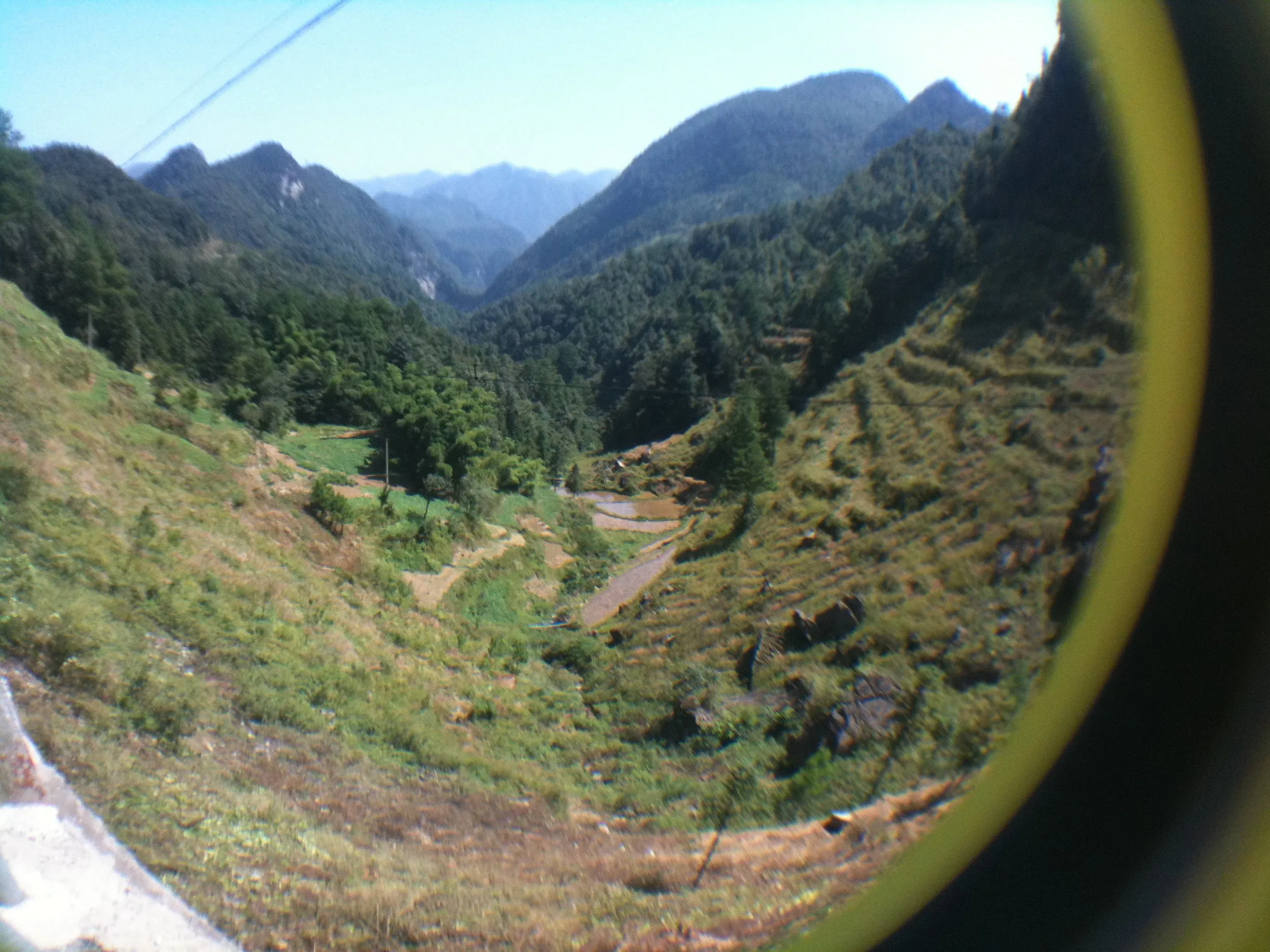 魚眼レンズで撮った水田風景