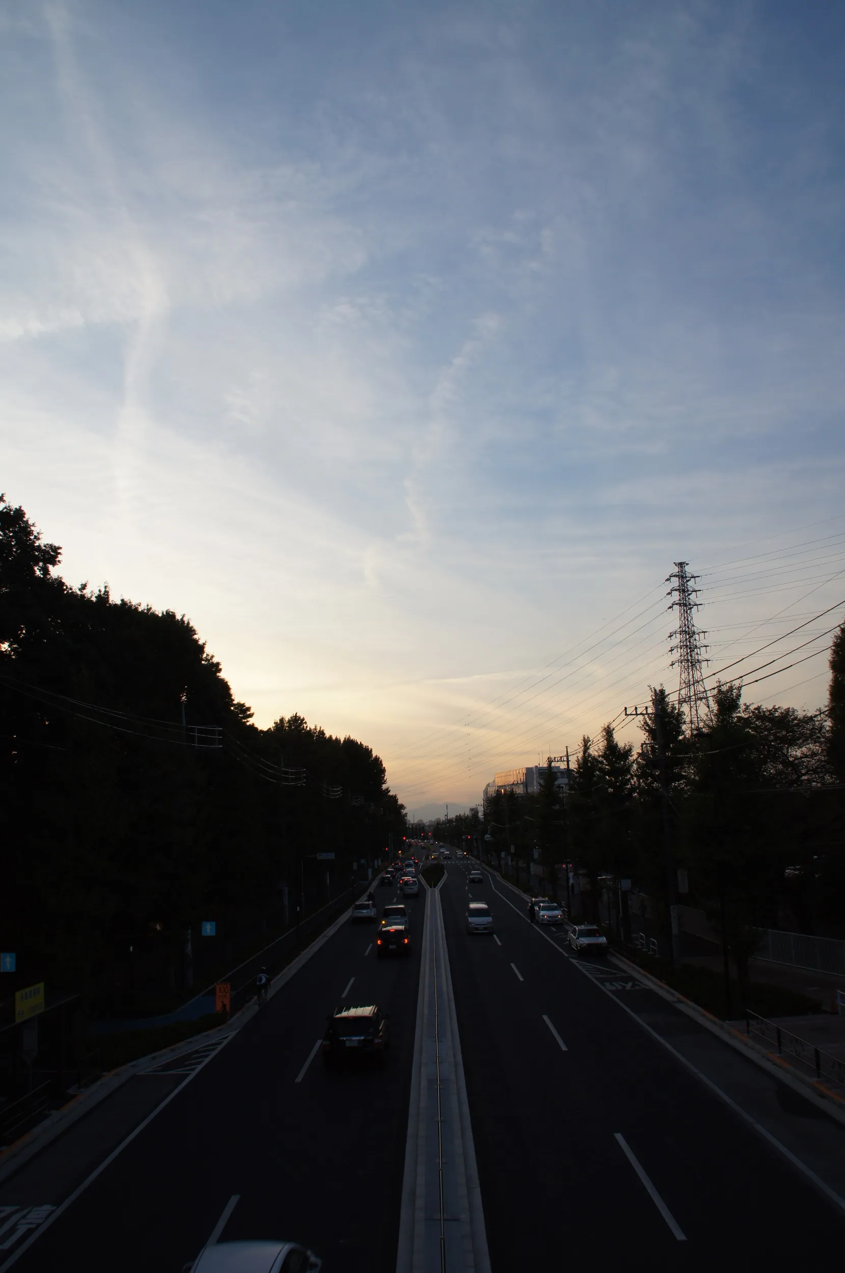 自動車教習所付近の道路