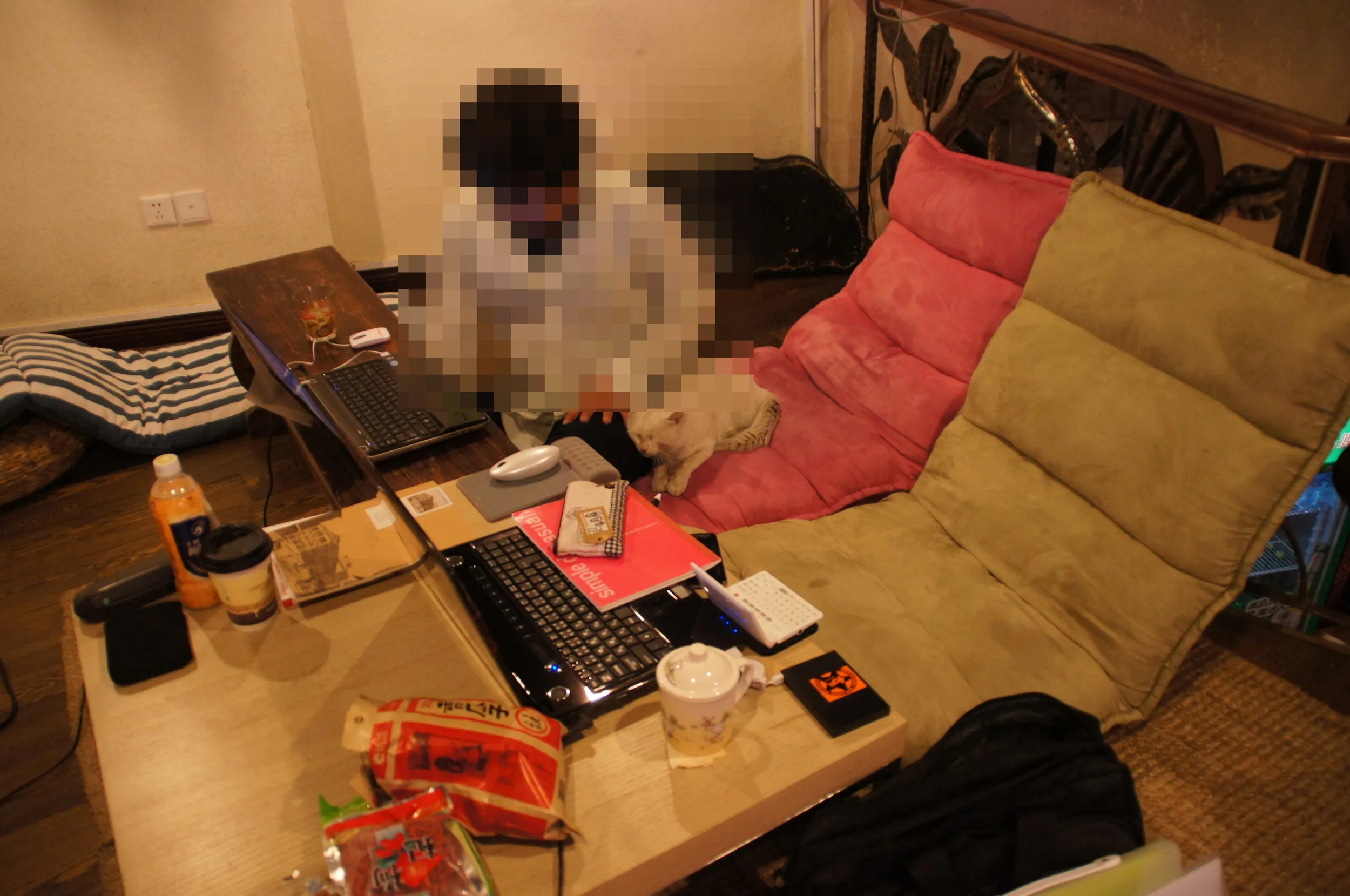 ユースホステルでぬ子と戯れる