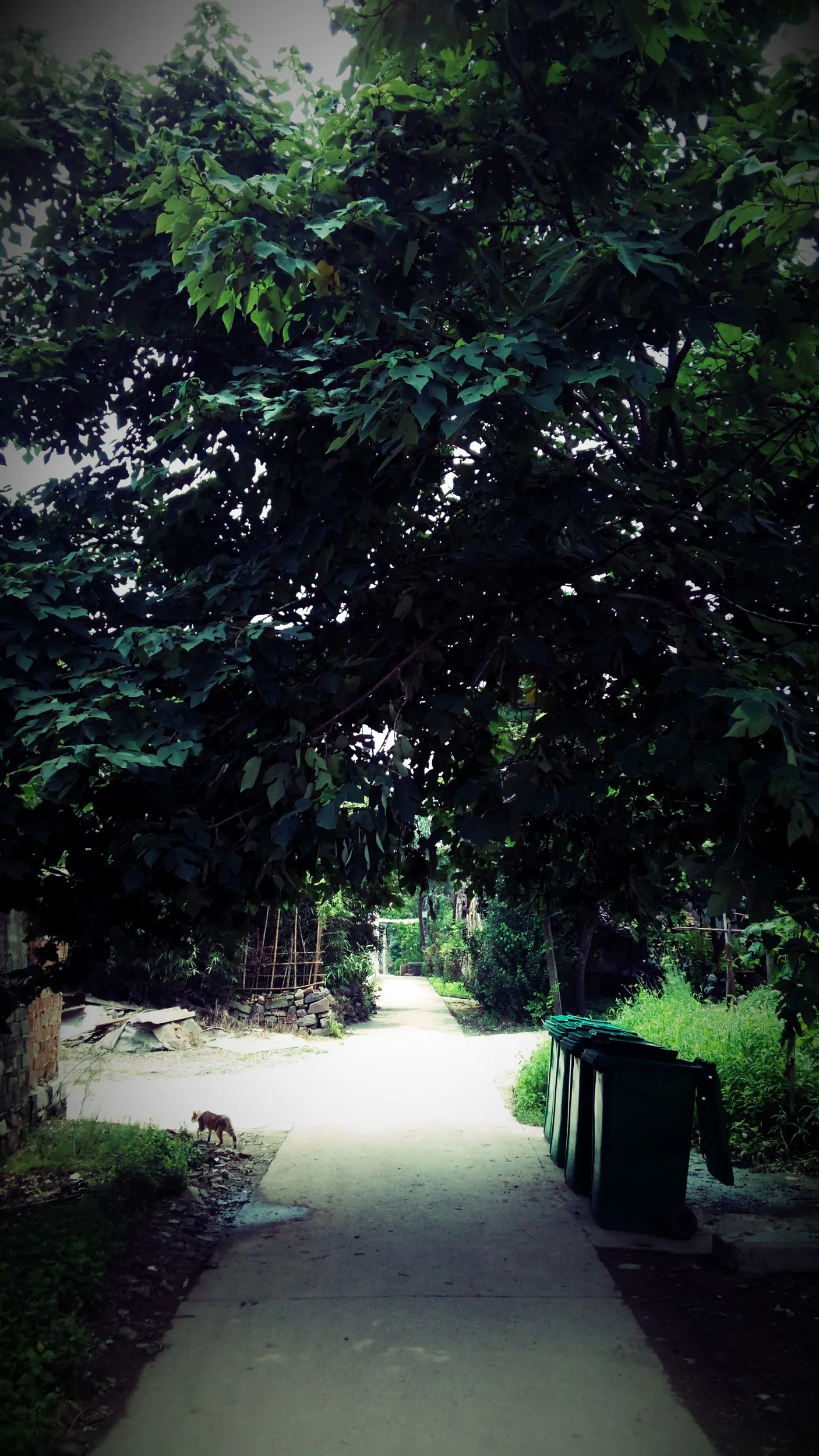 方橋商住小区付近の風景