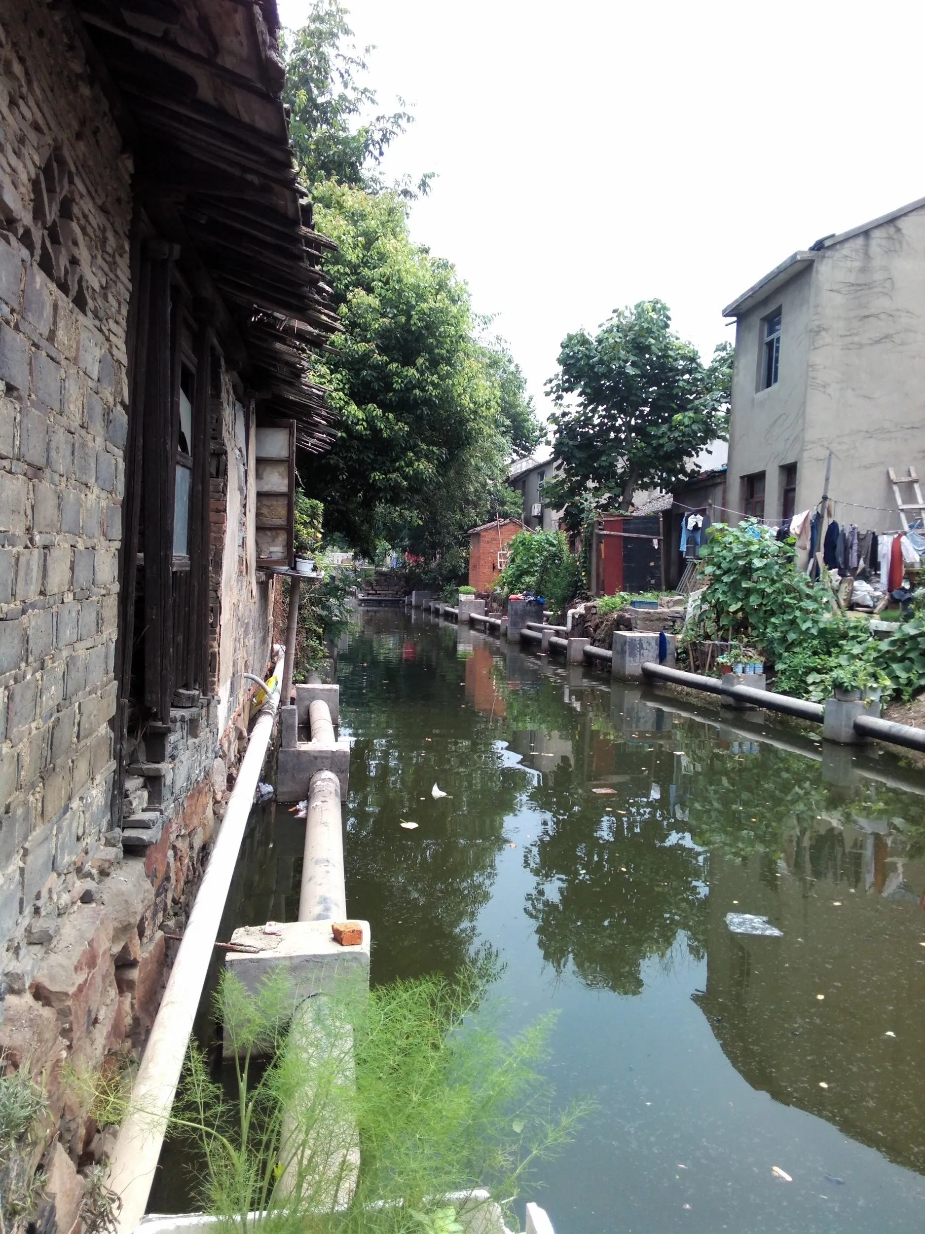 方橋商住小区付近の汚い小川