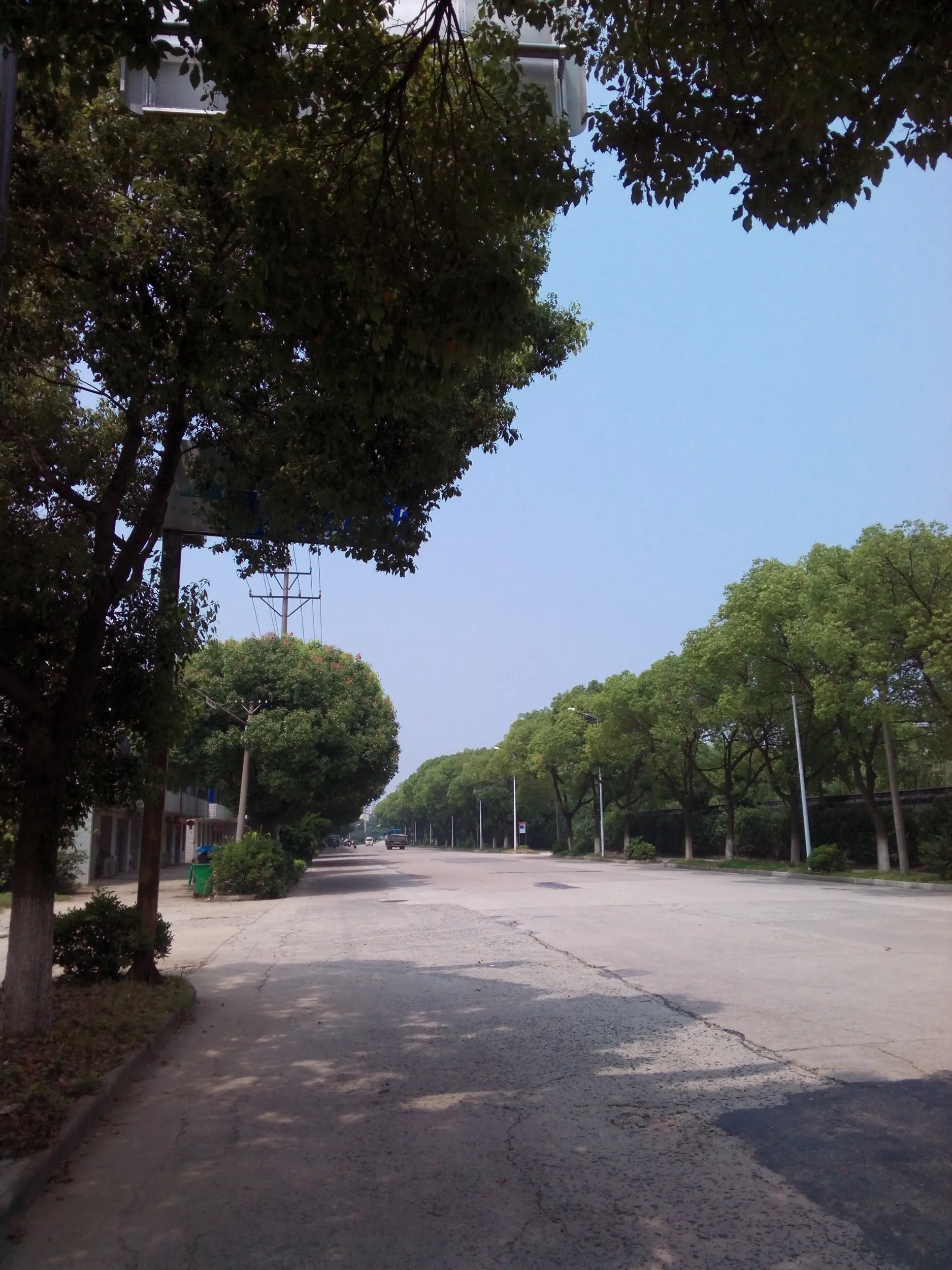 太湖大堤まで散歩