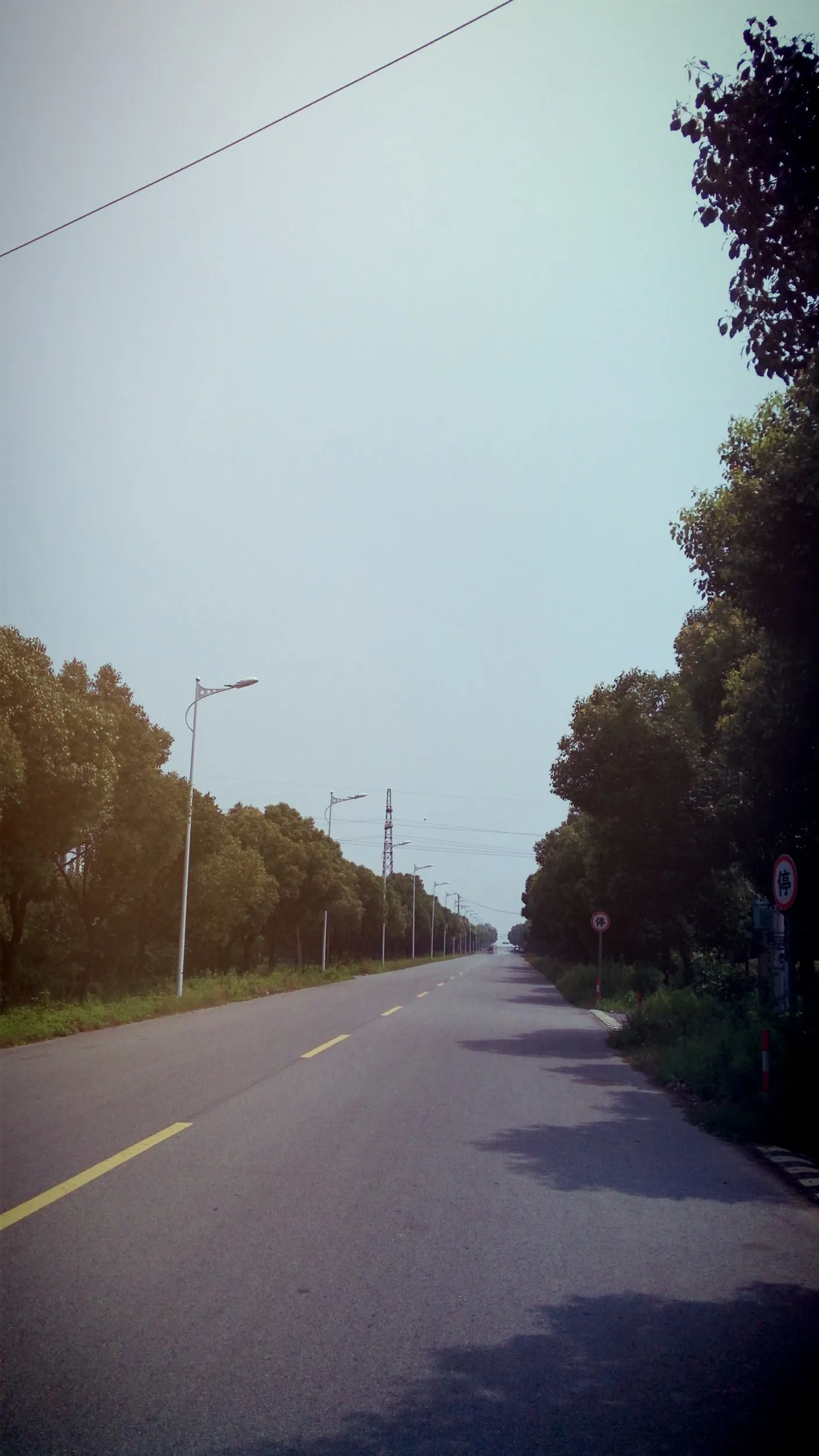 太湖大堤へ向かう