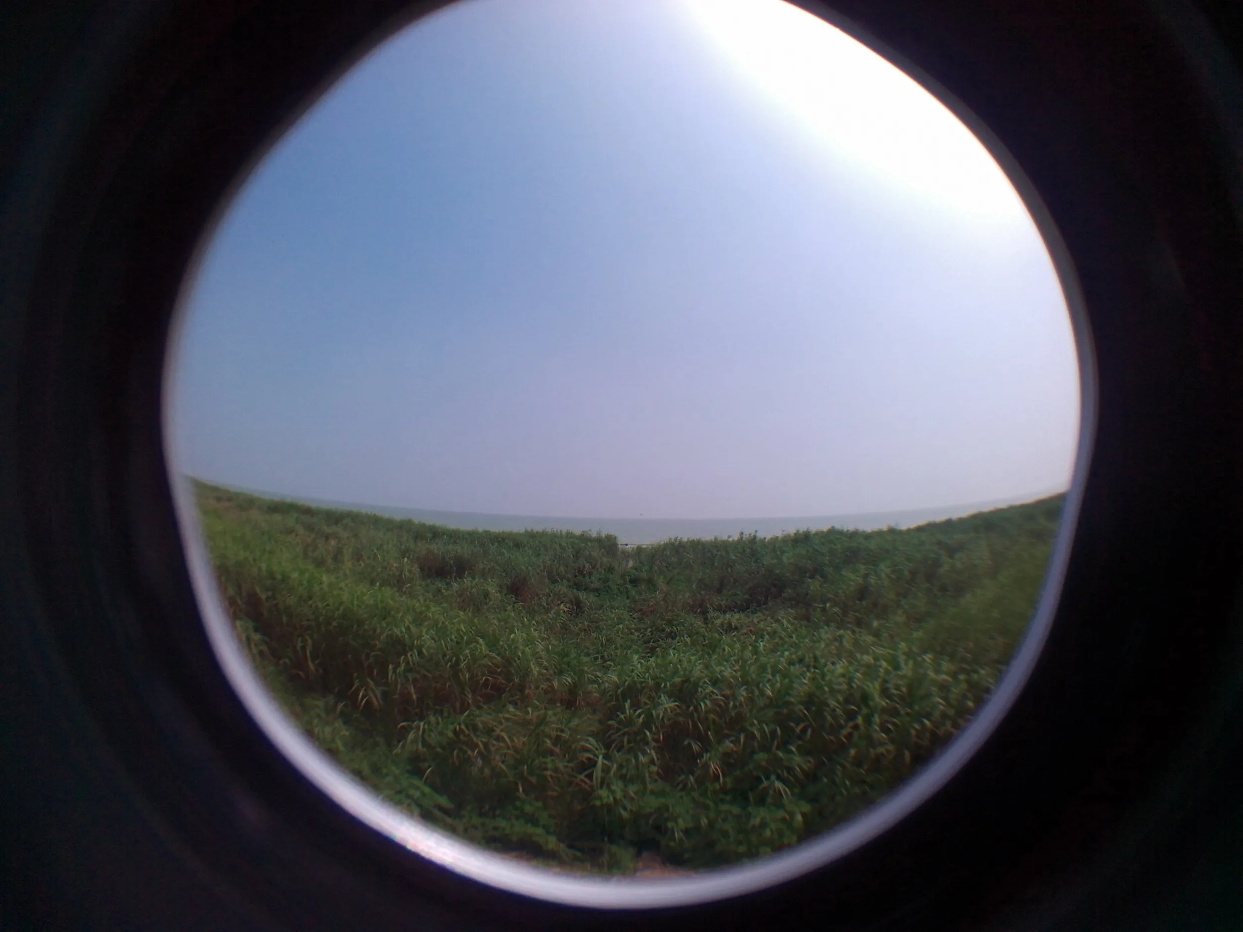 太湖大堤から太湖を眺める