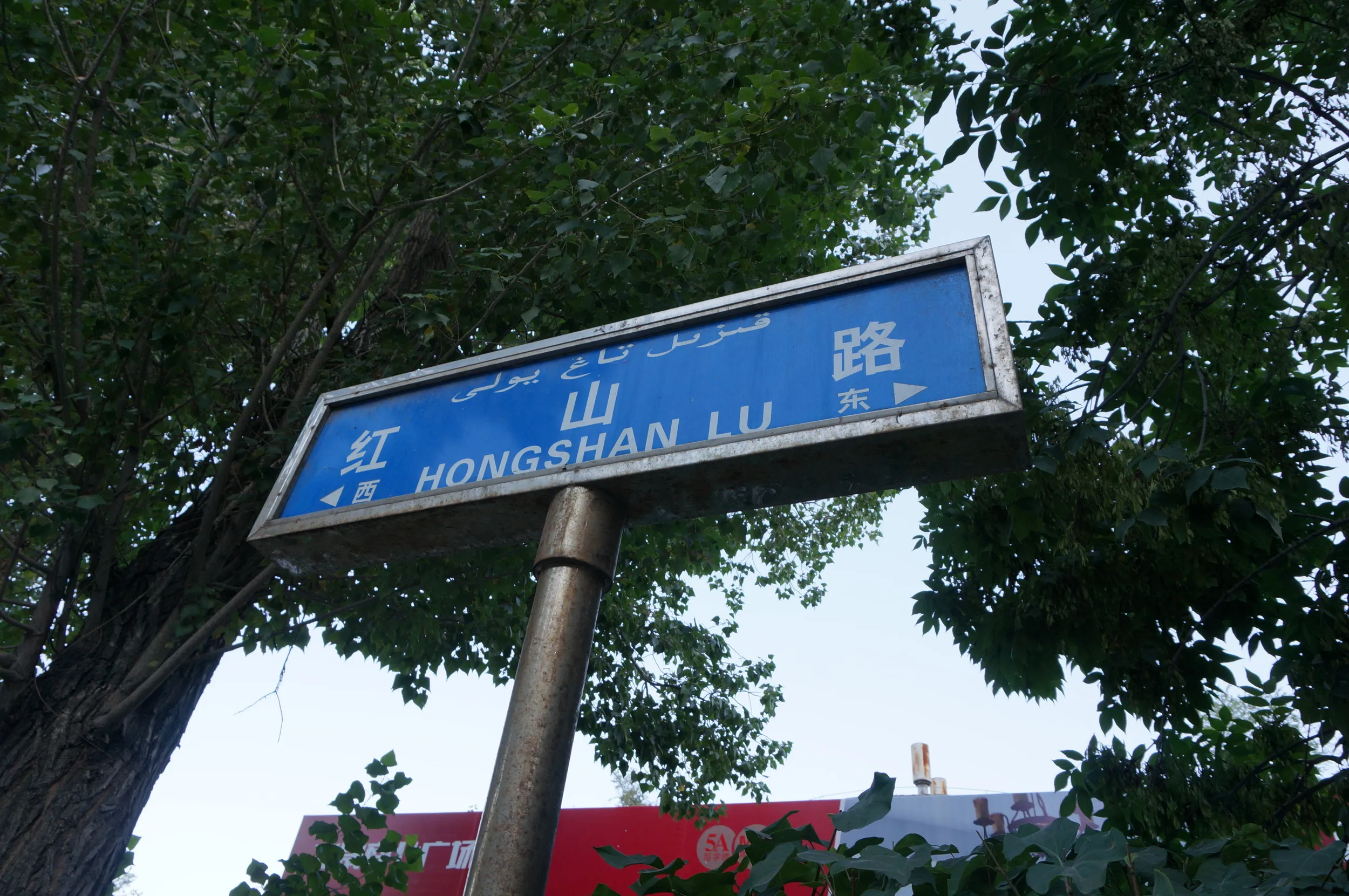 紅山公園付近の紅山路