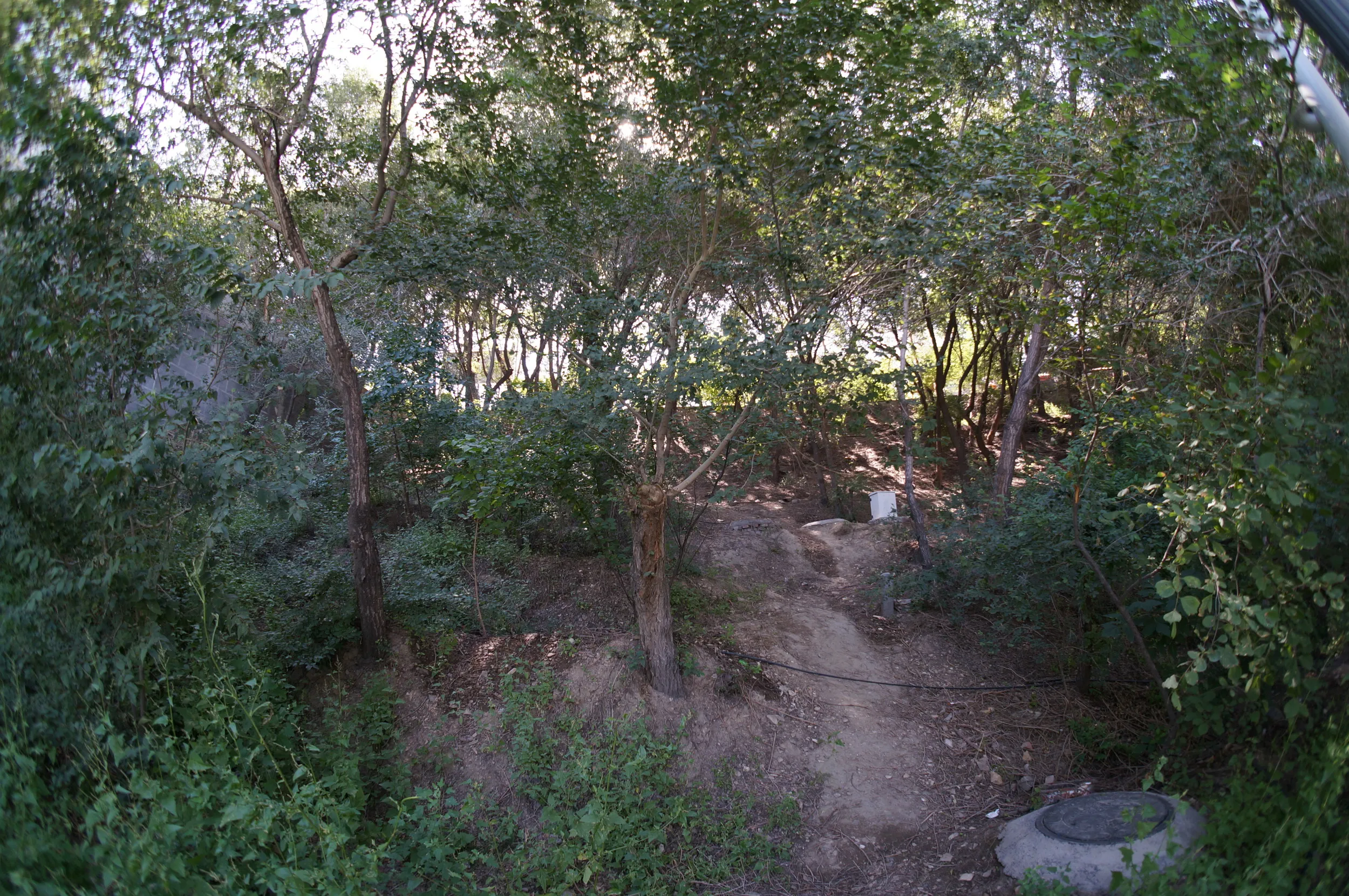 紅山公園を散歩しつつ観光