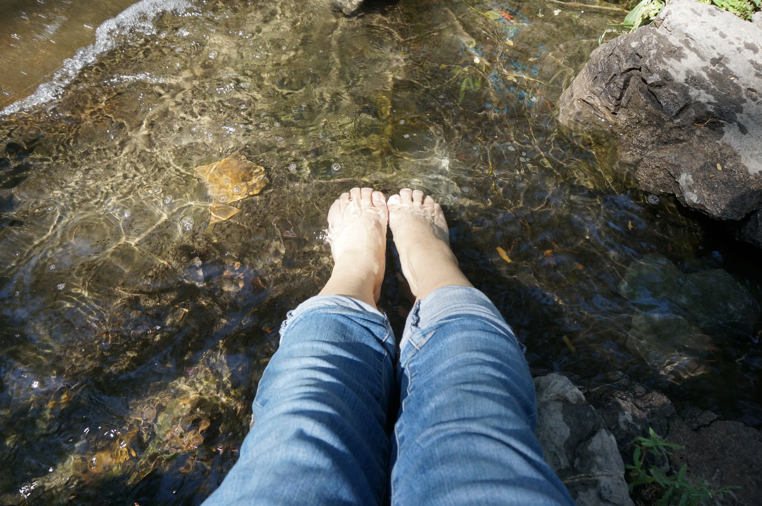 川で足を浸して涼むw
