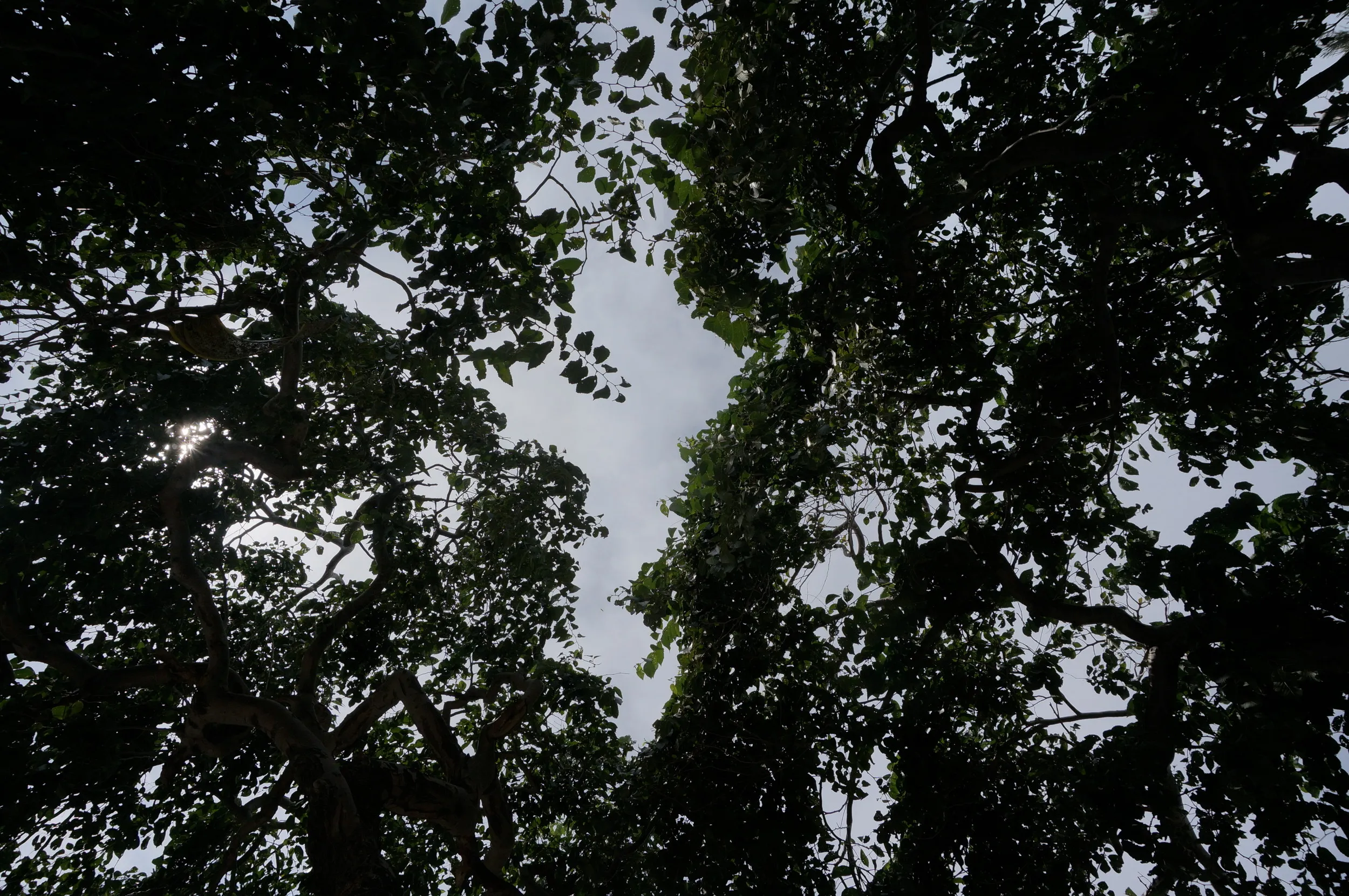 紅山塔付近でごろ寝