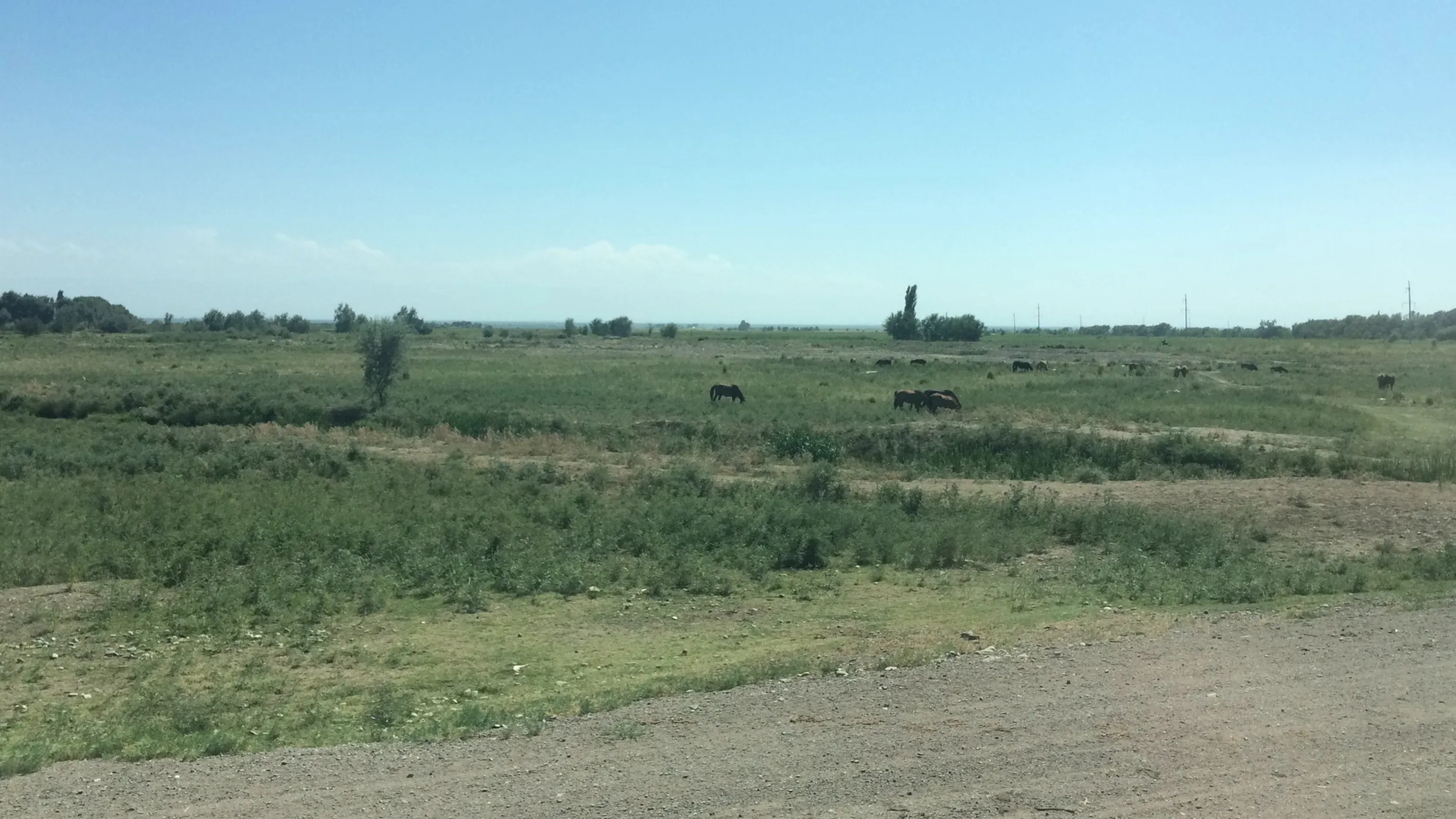 ジャルケント(Жаркент)、コクタル(Көктал)郊外の風景