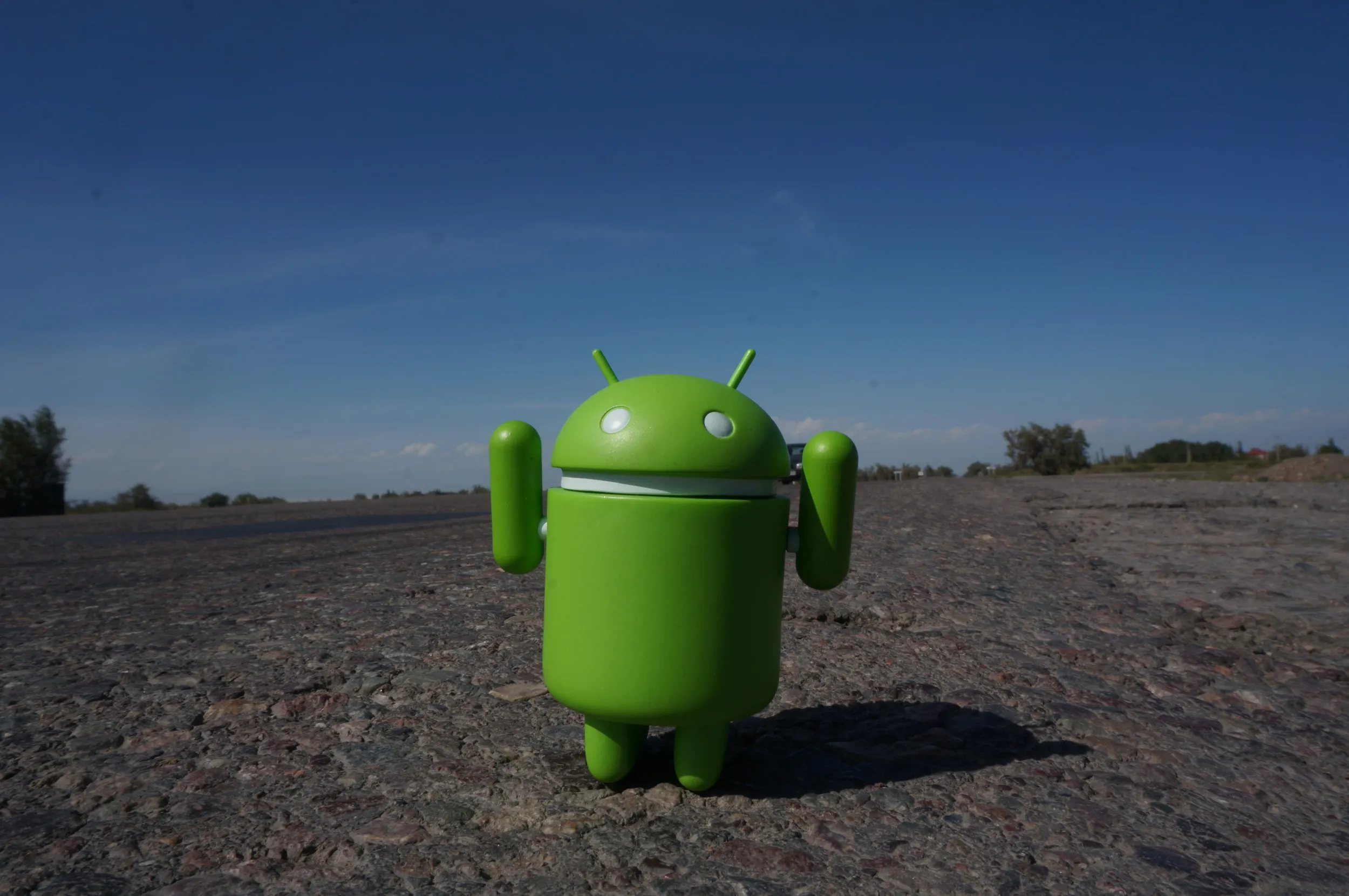 ドロイド君が記念撮影