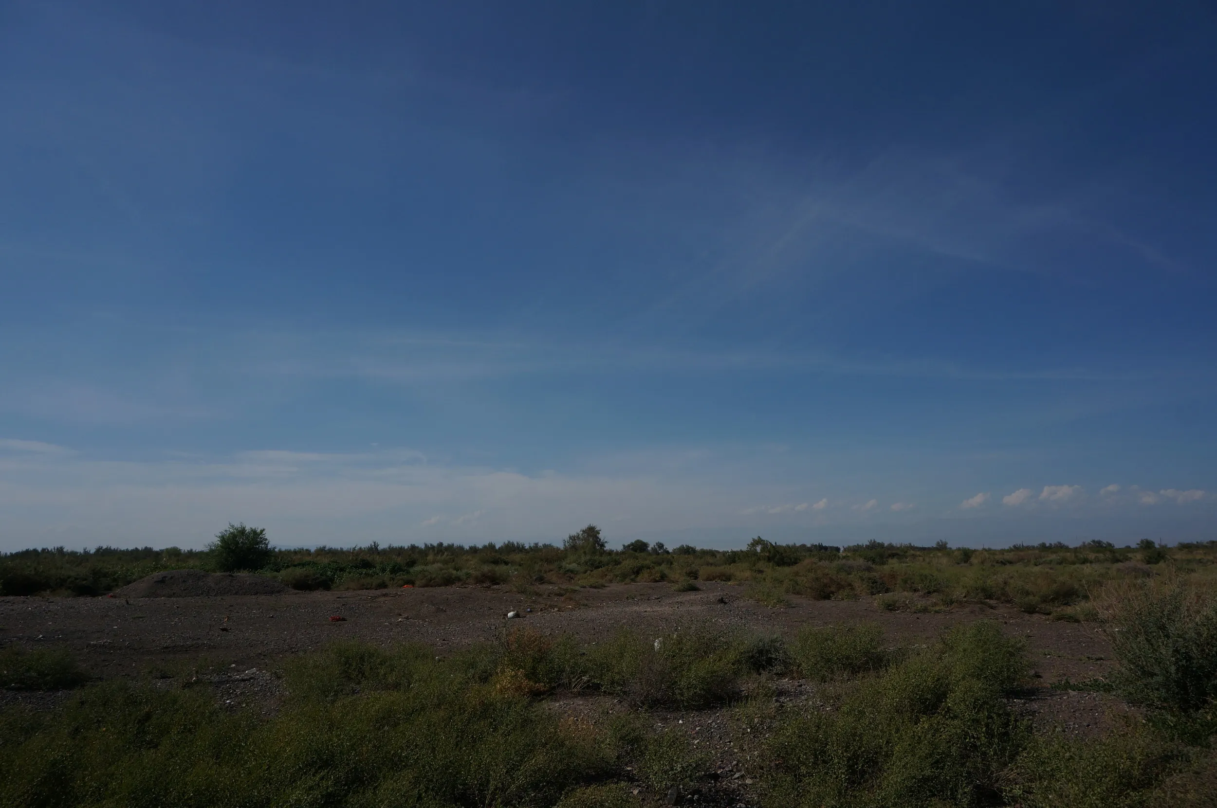 周辺の砂漠風景