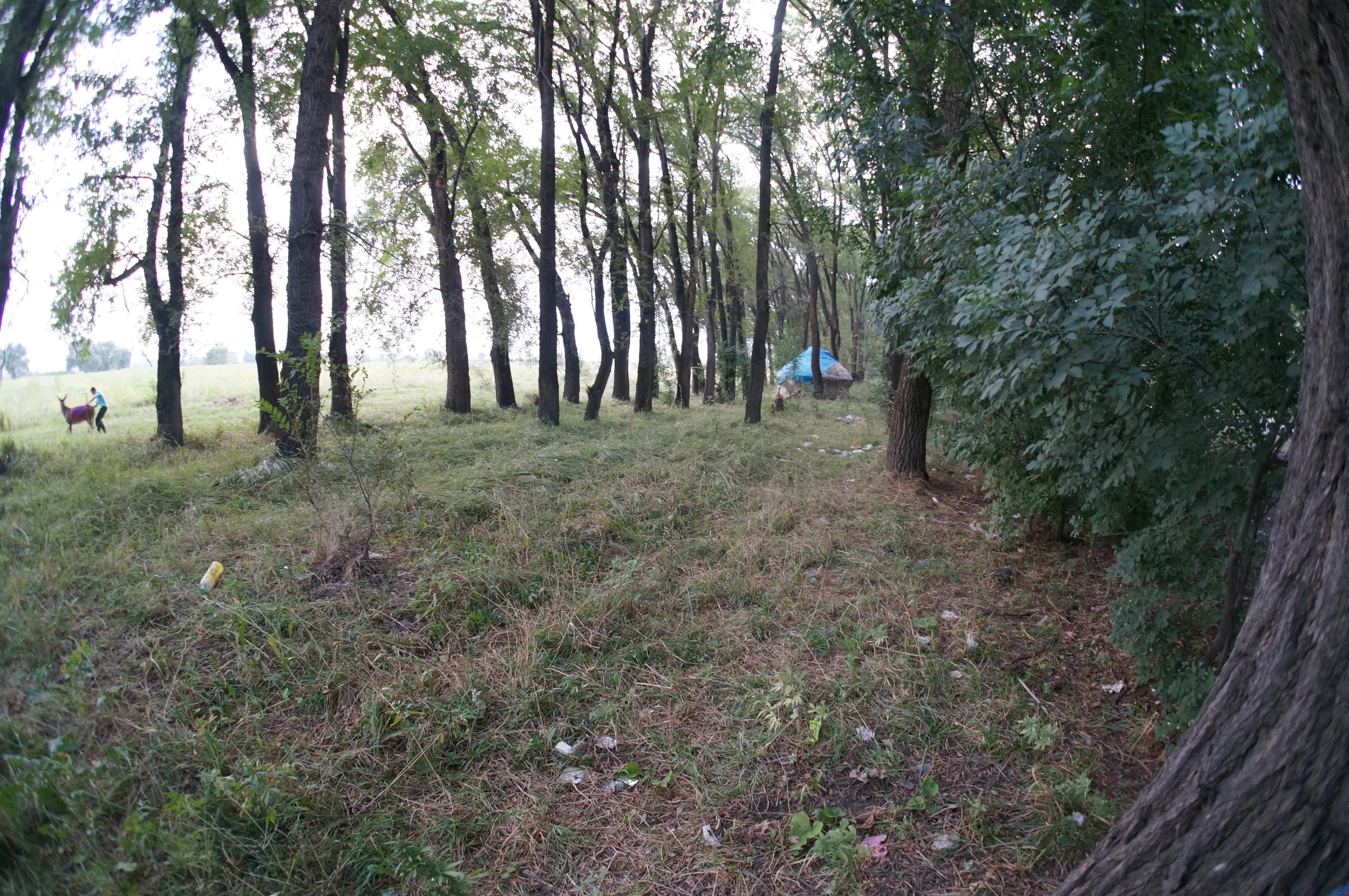 エフゲニエフカ(Евгеньевка)付近で小休憩