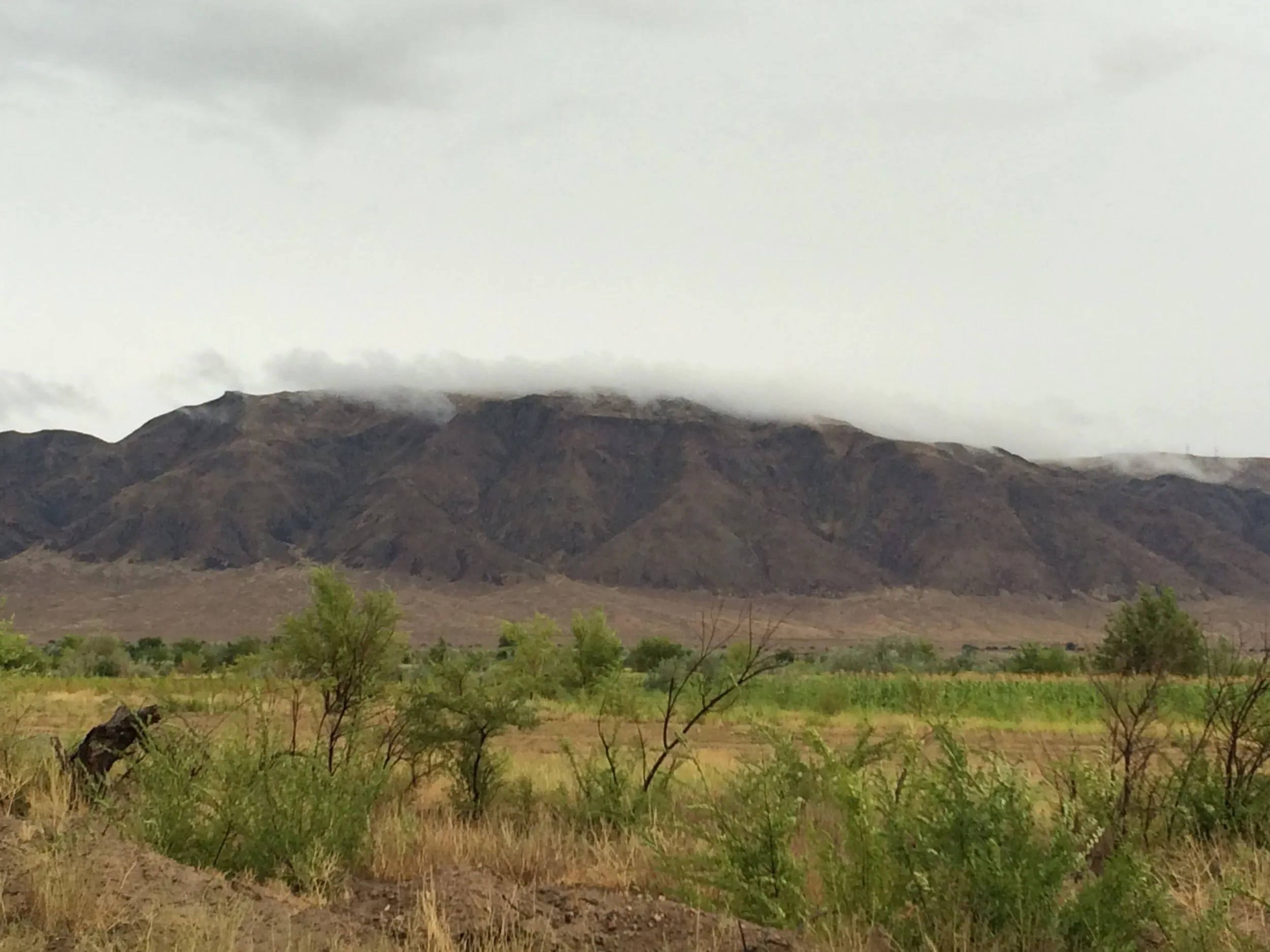 雨の砂漠、農地から山を眺める