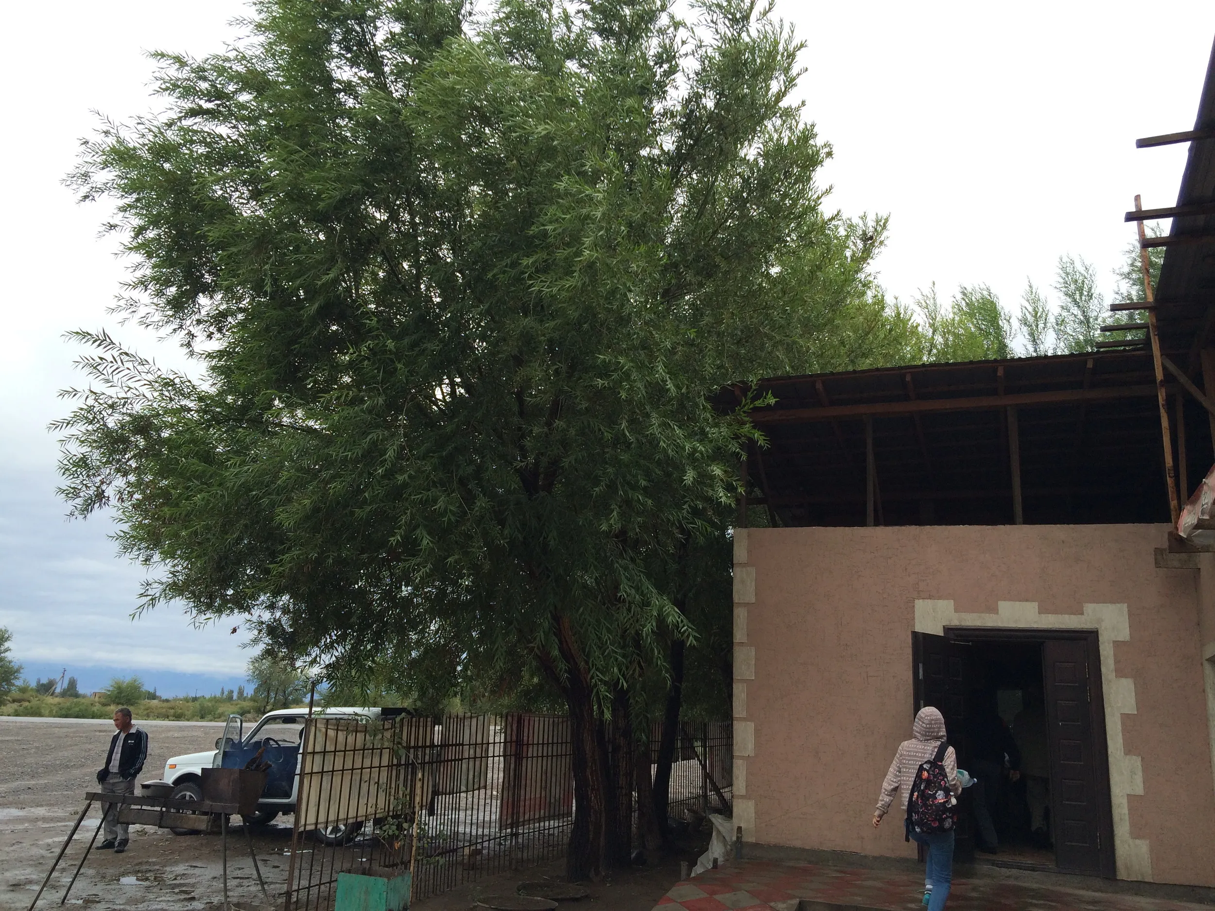 砂漠のカフェで再び昼食休憩
