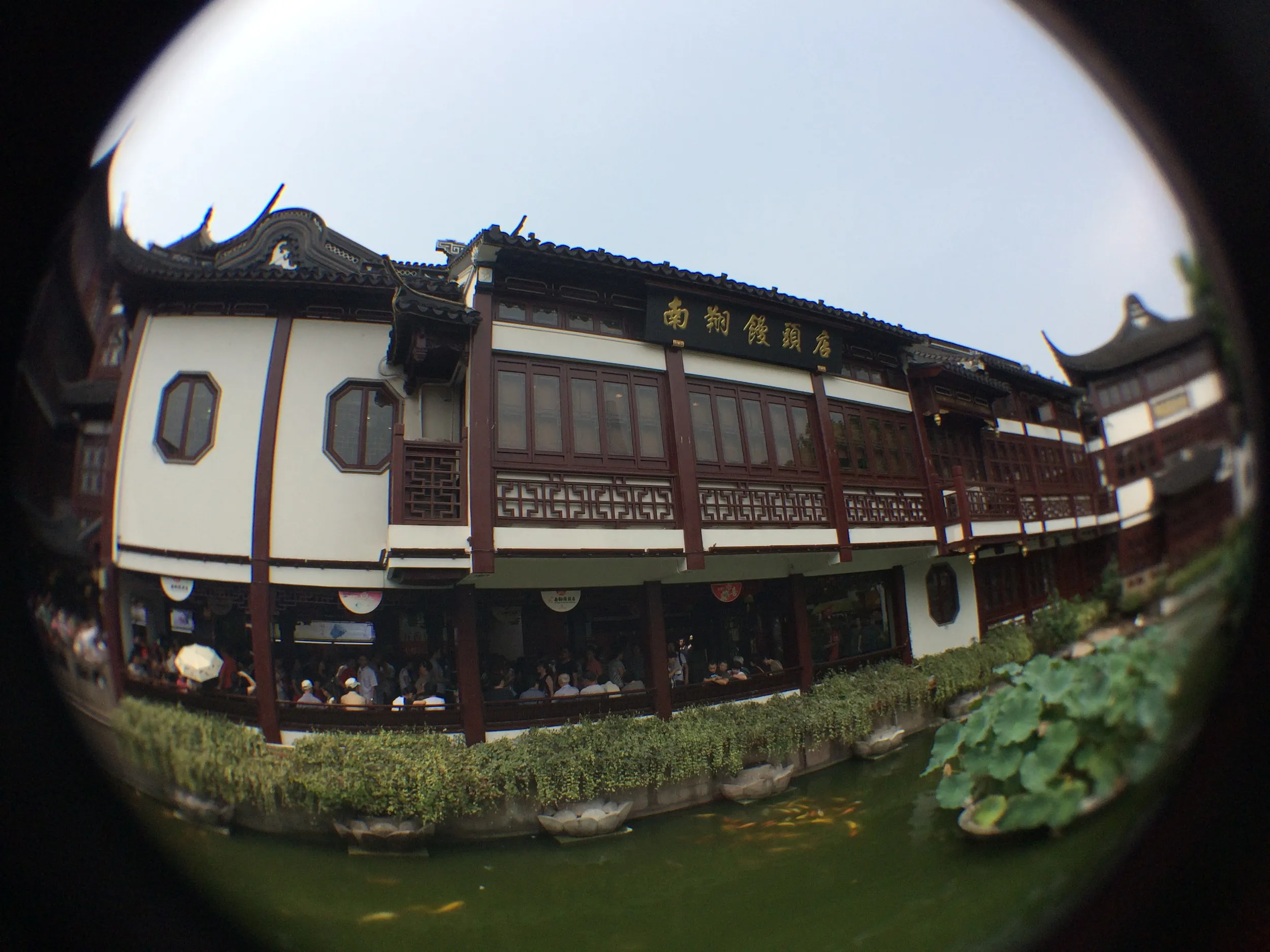 九曲橋付近の風景