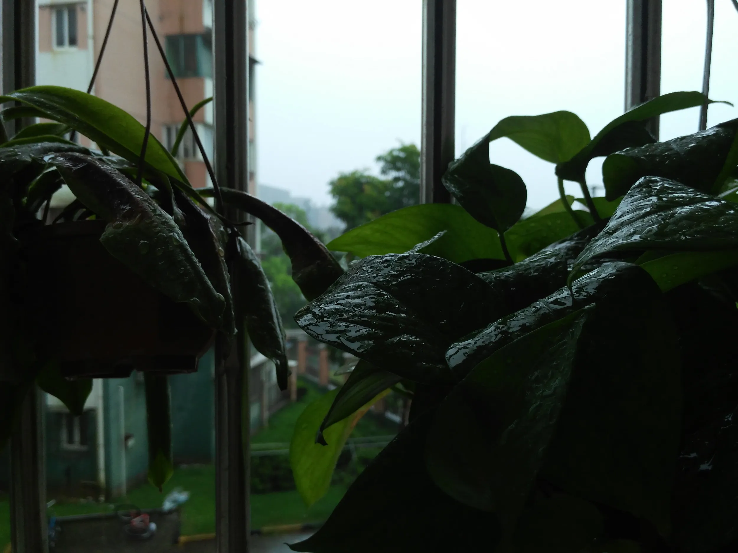 適当なメモ写真