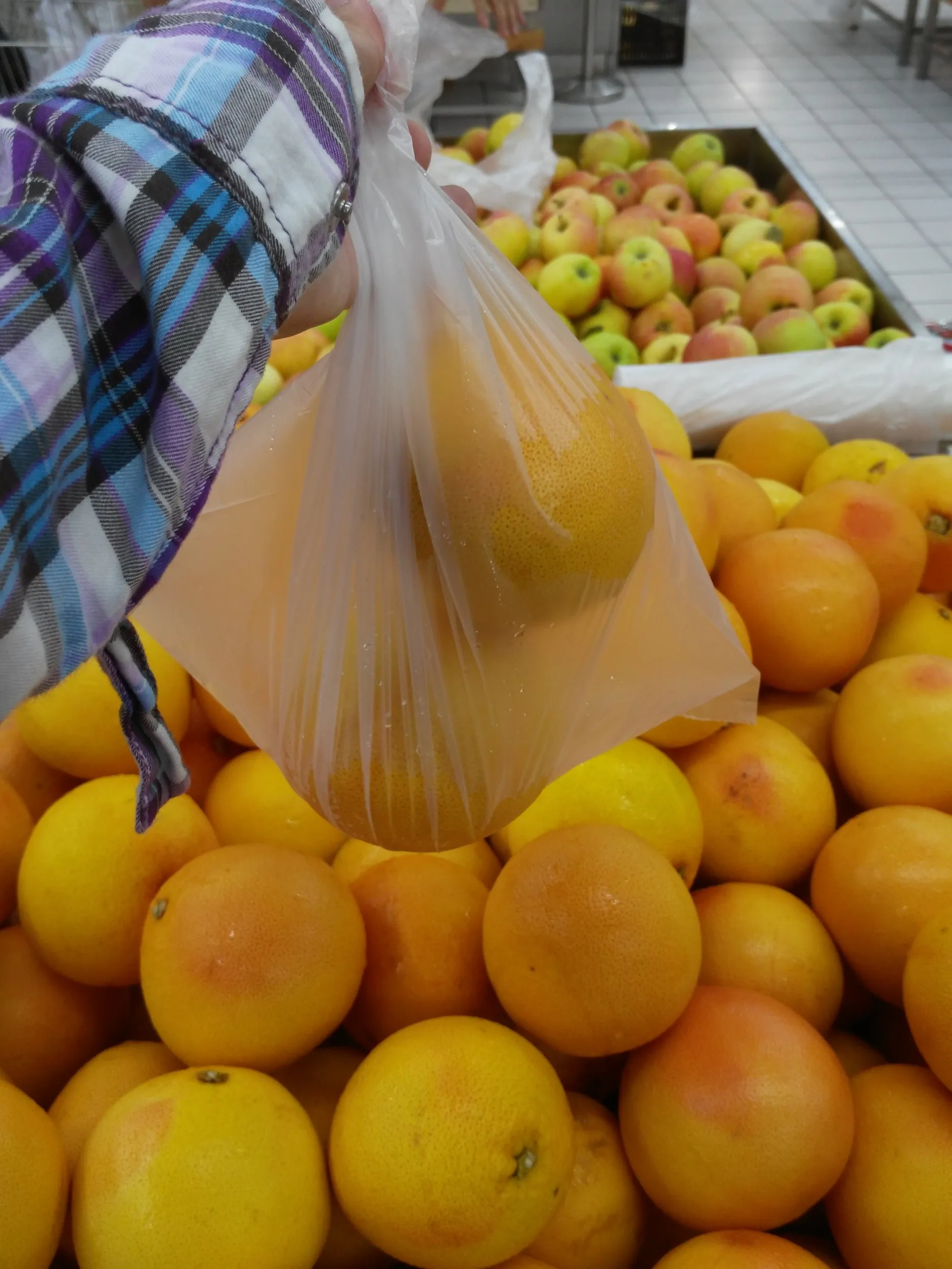 オーストラリア産のオレンジ