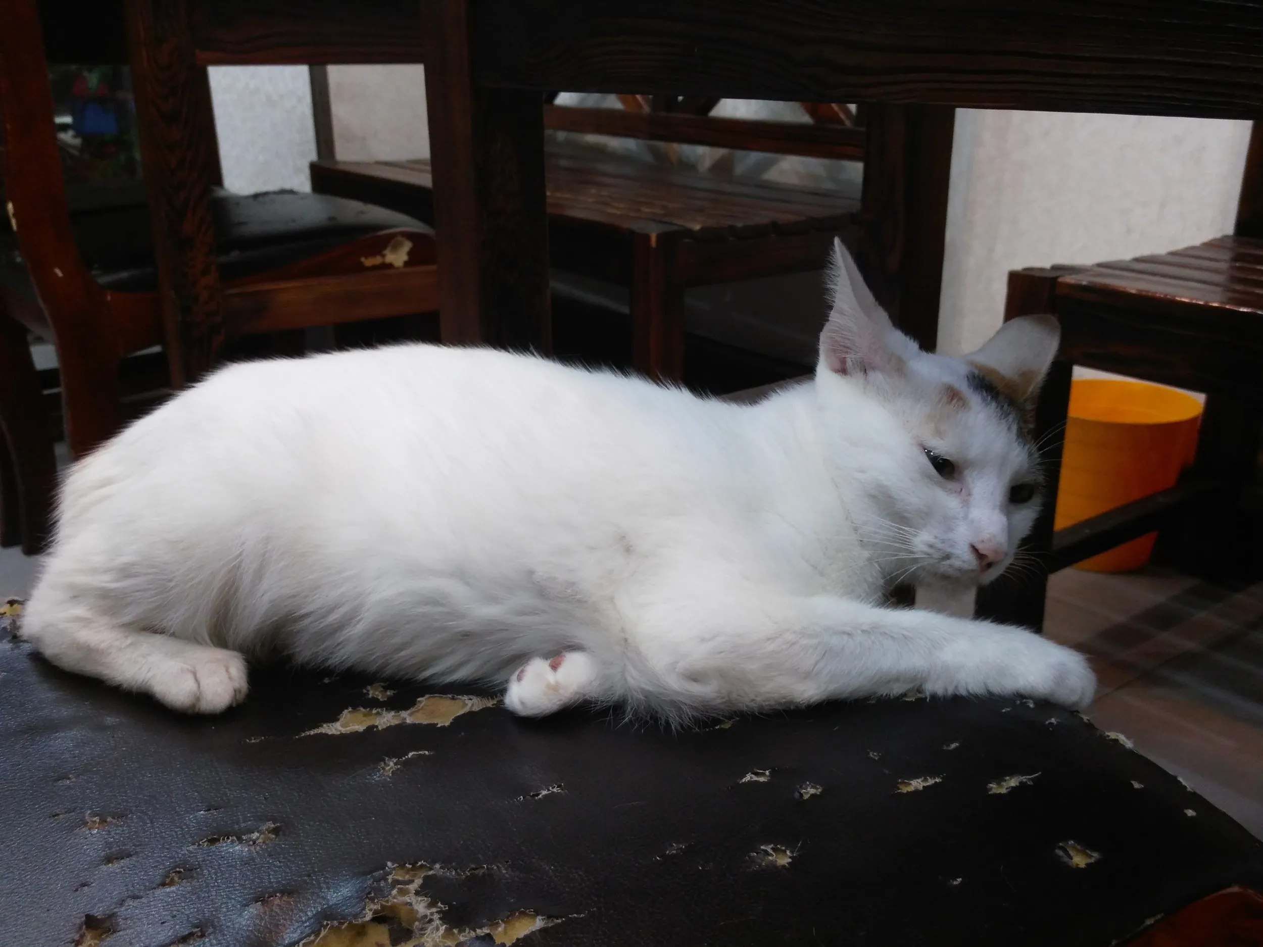 別の店での夕飯