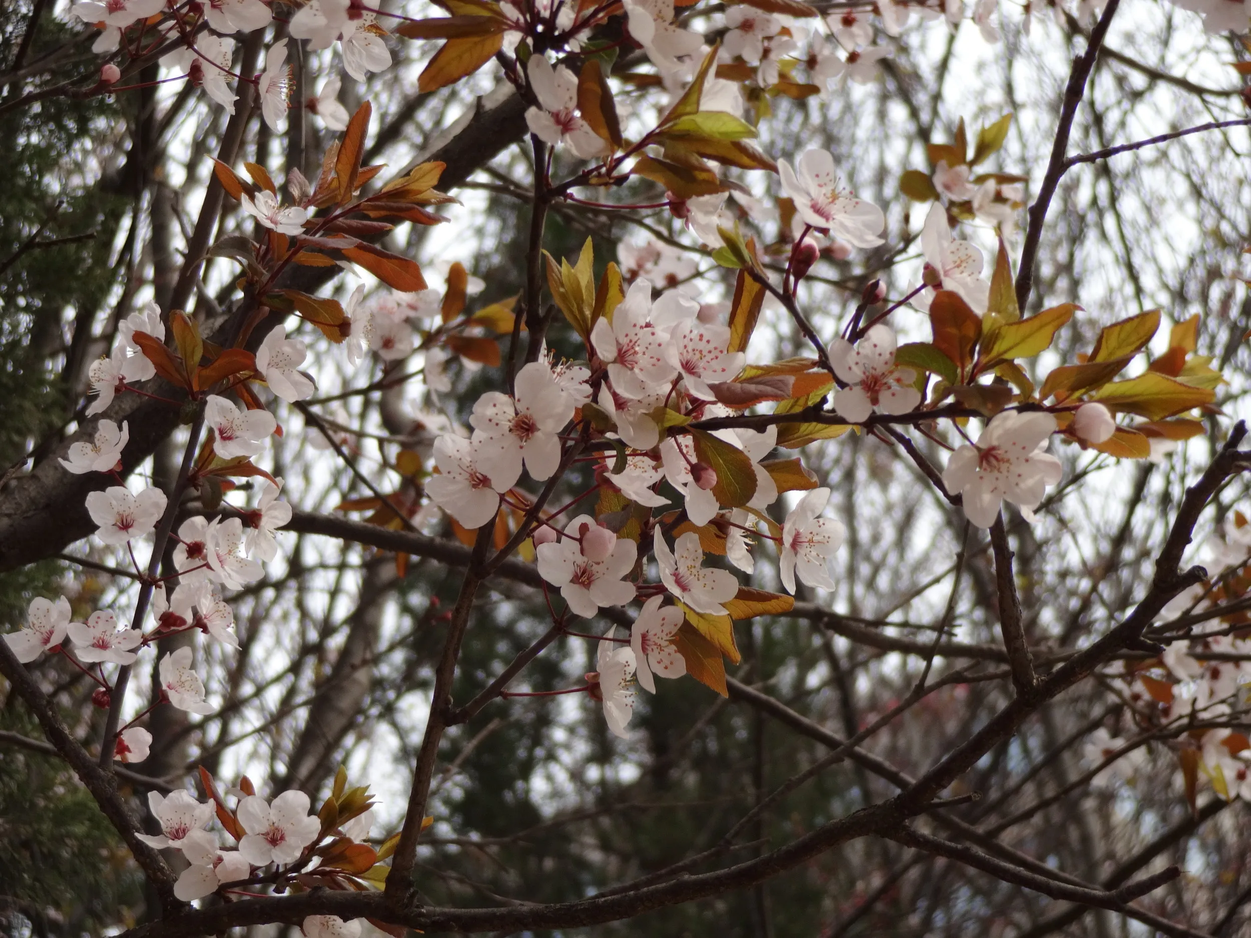 バスで会社付近へ
