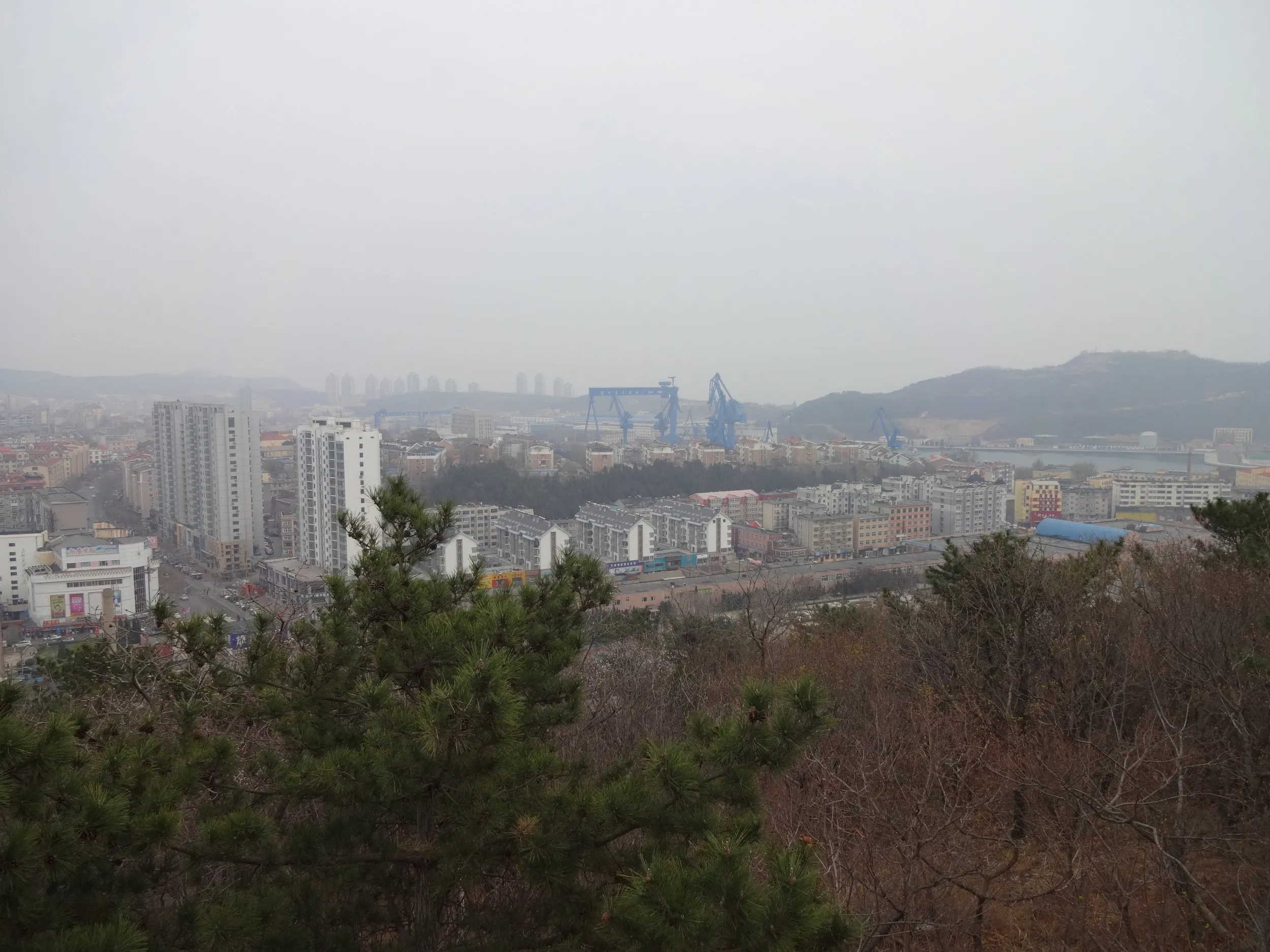 登山道からの風景