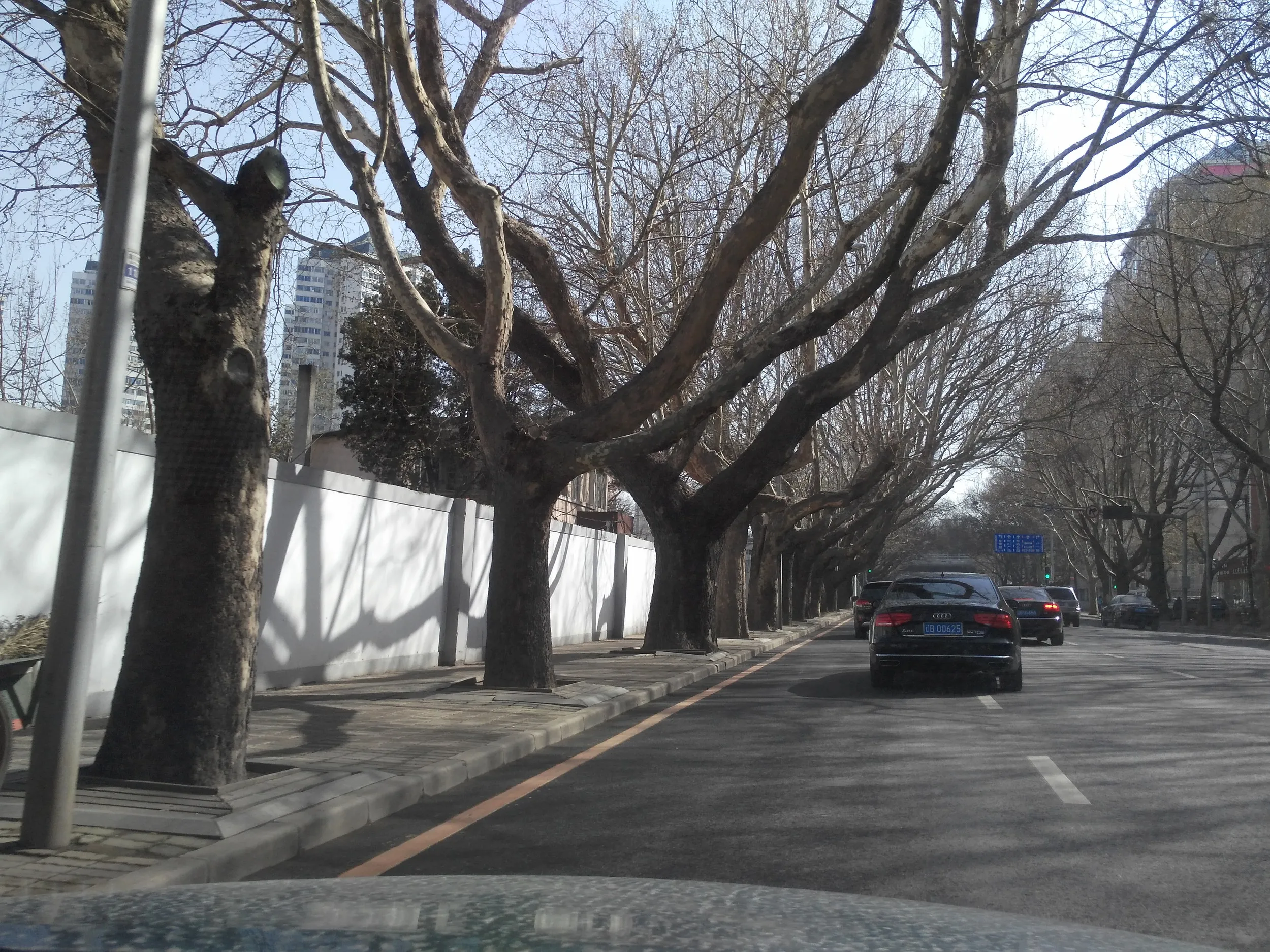 車での移動風景
