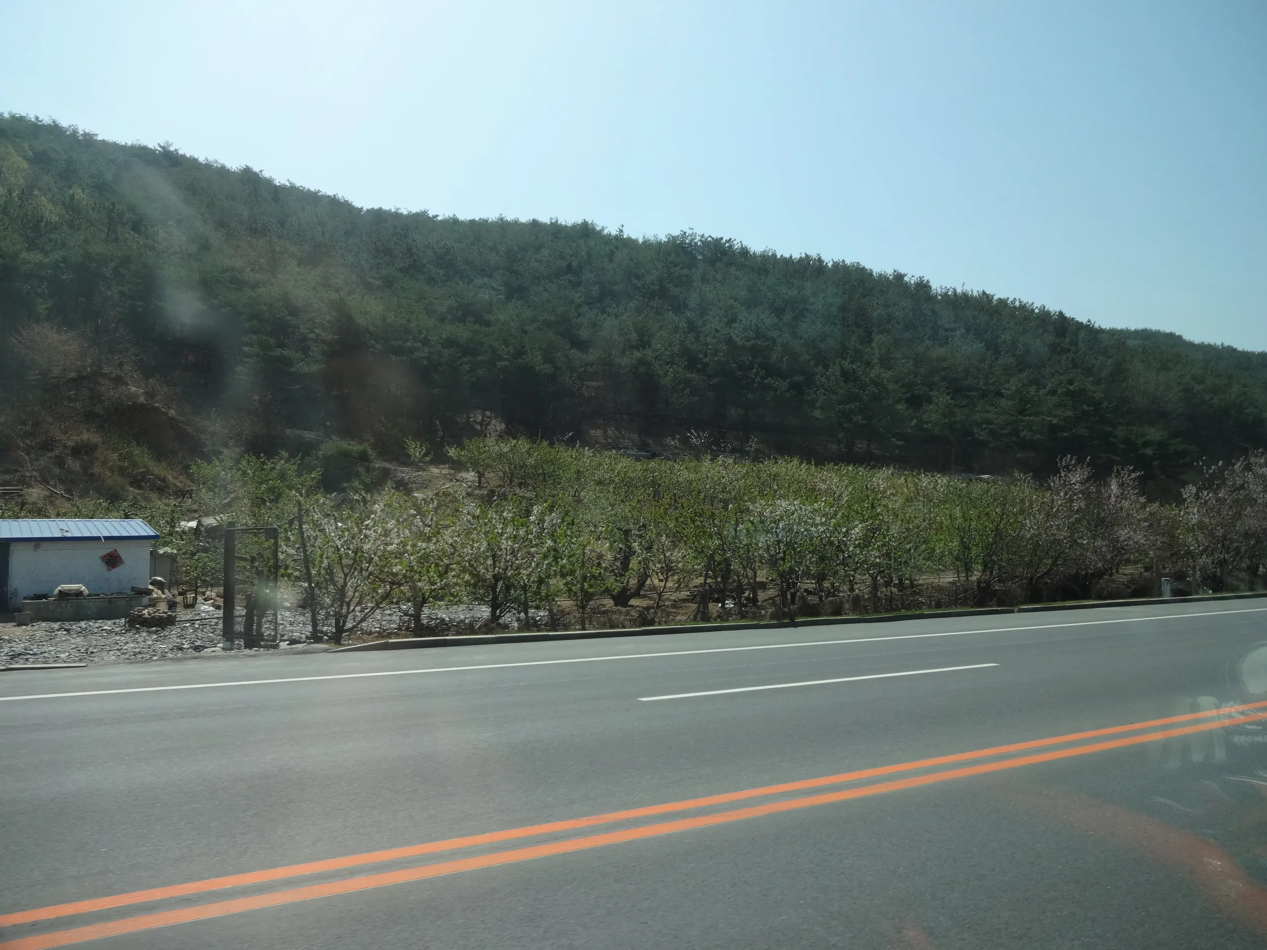 202路の路面電車(軽軌)