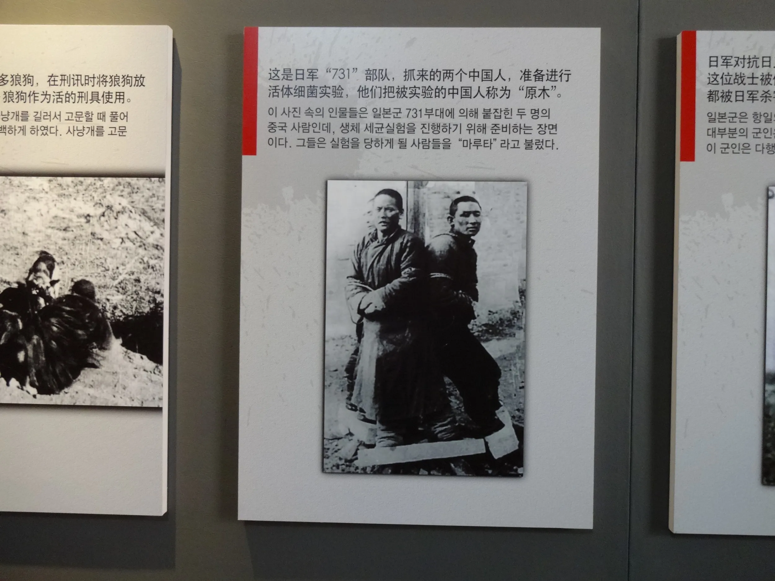 拷問器具の展示