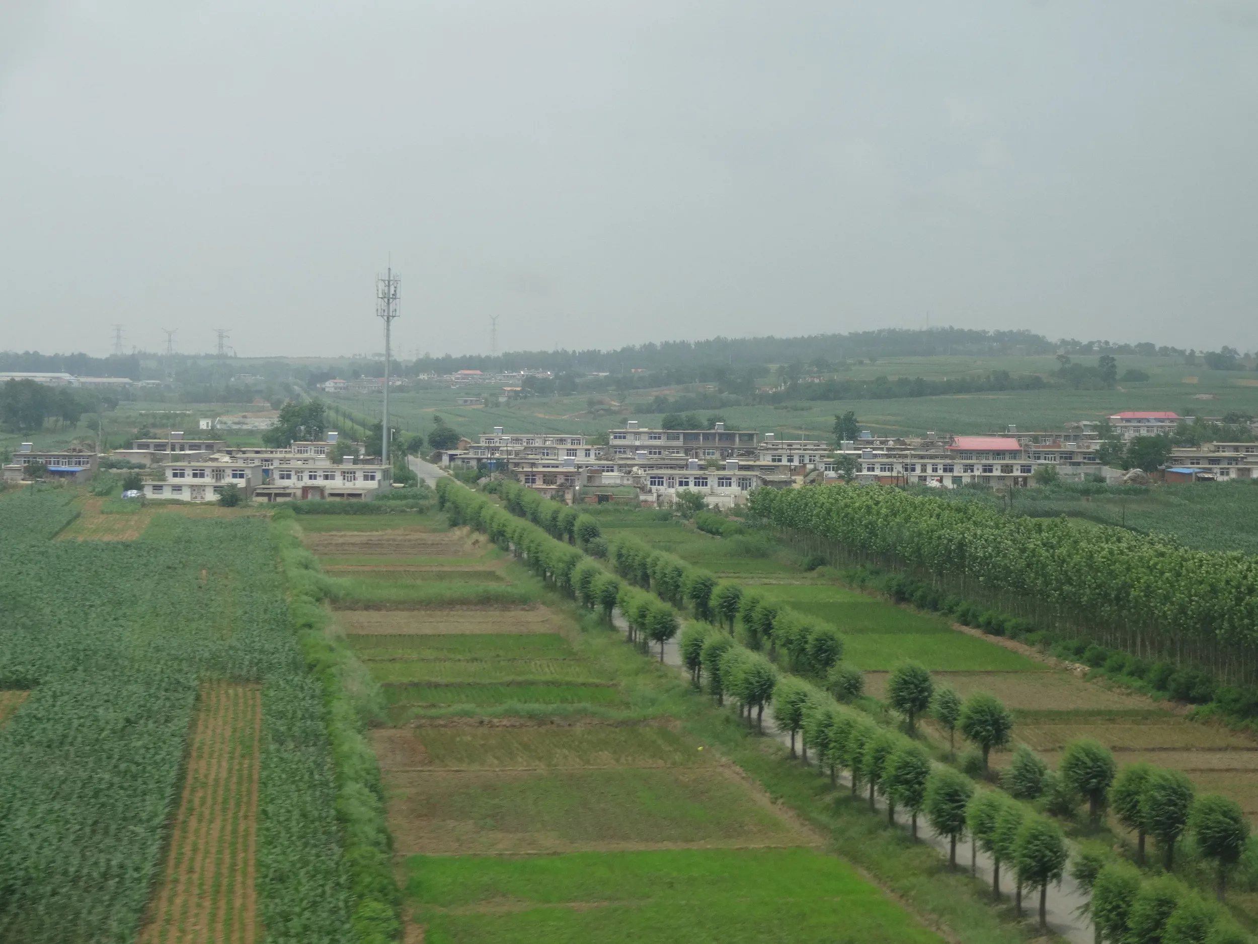 農地が広がる風景