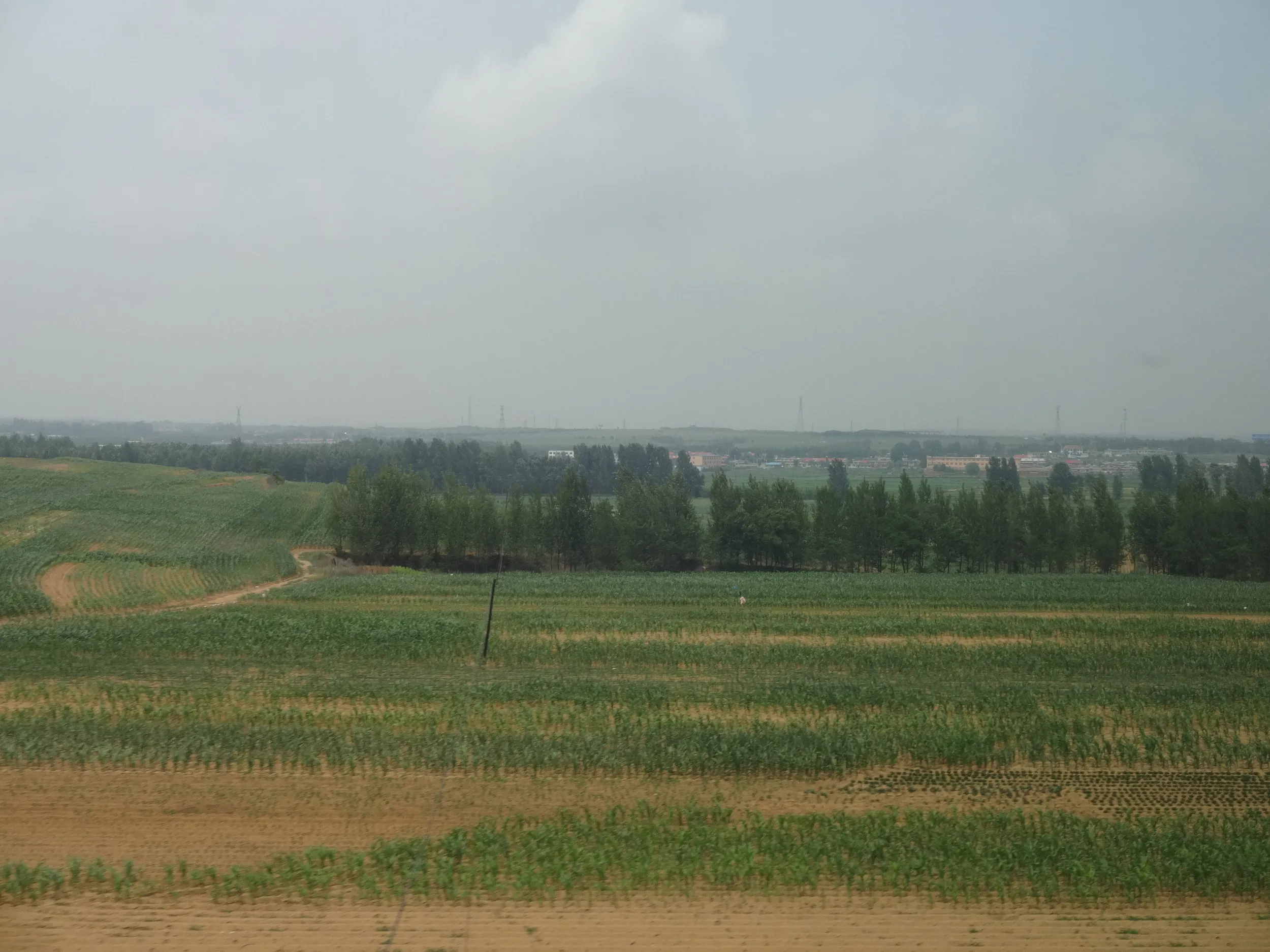 農地が広がる風景