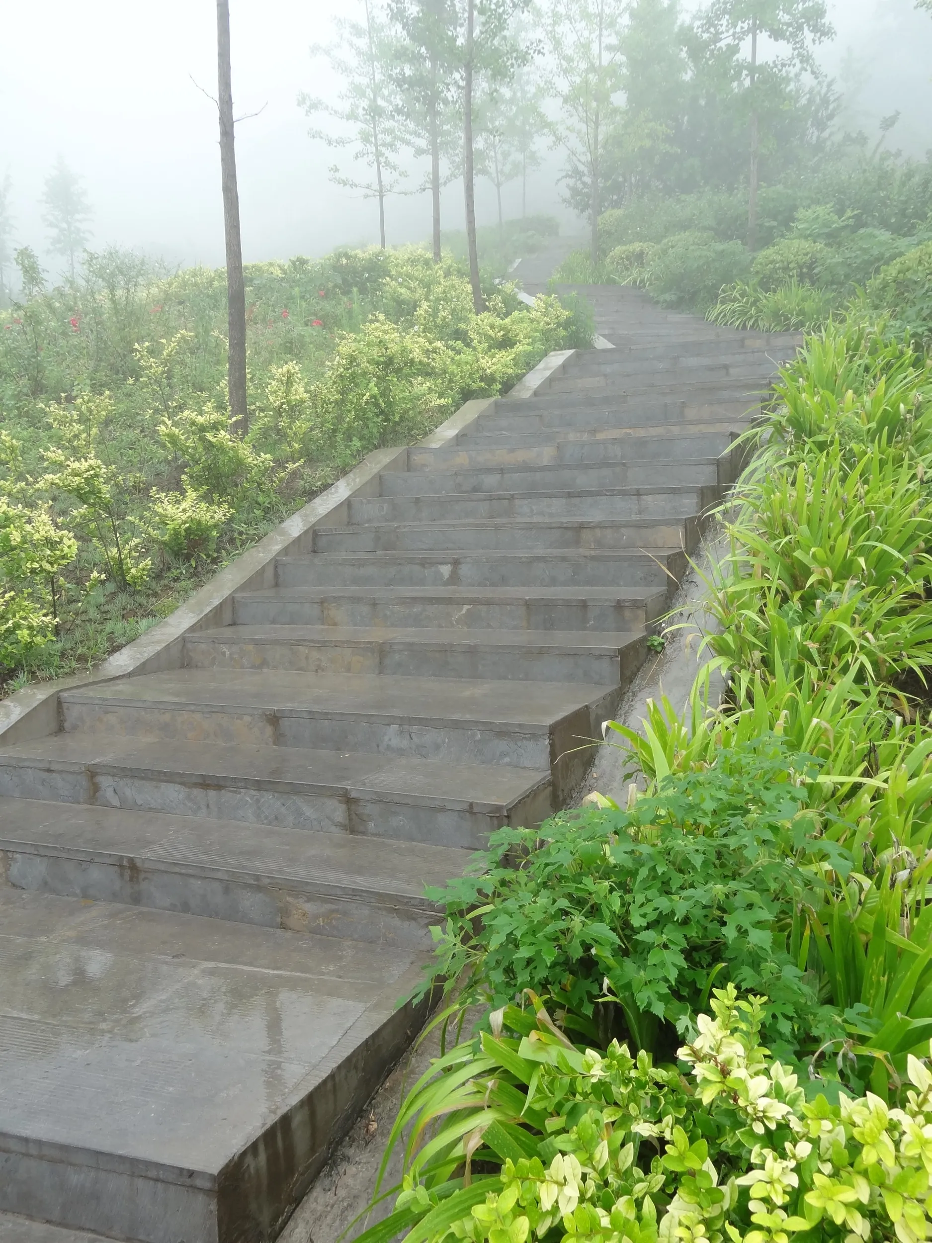 コンクリートの遊歩道