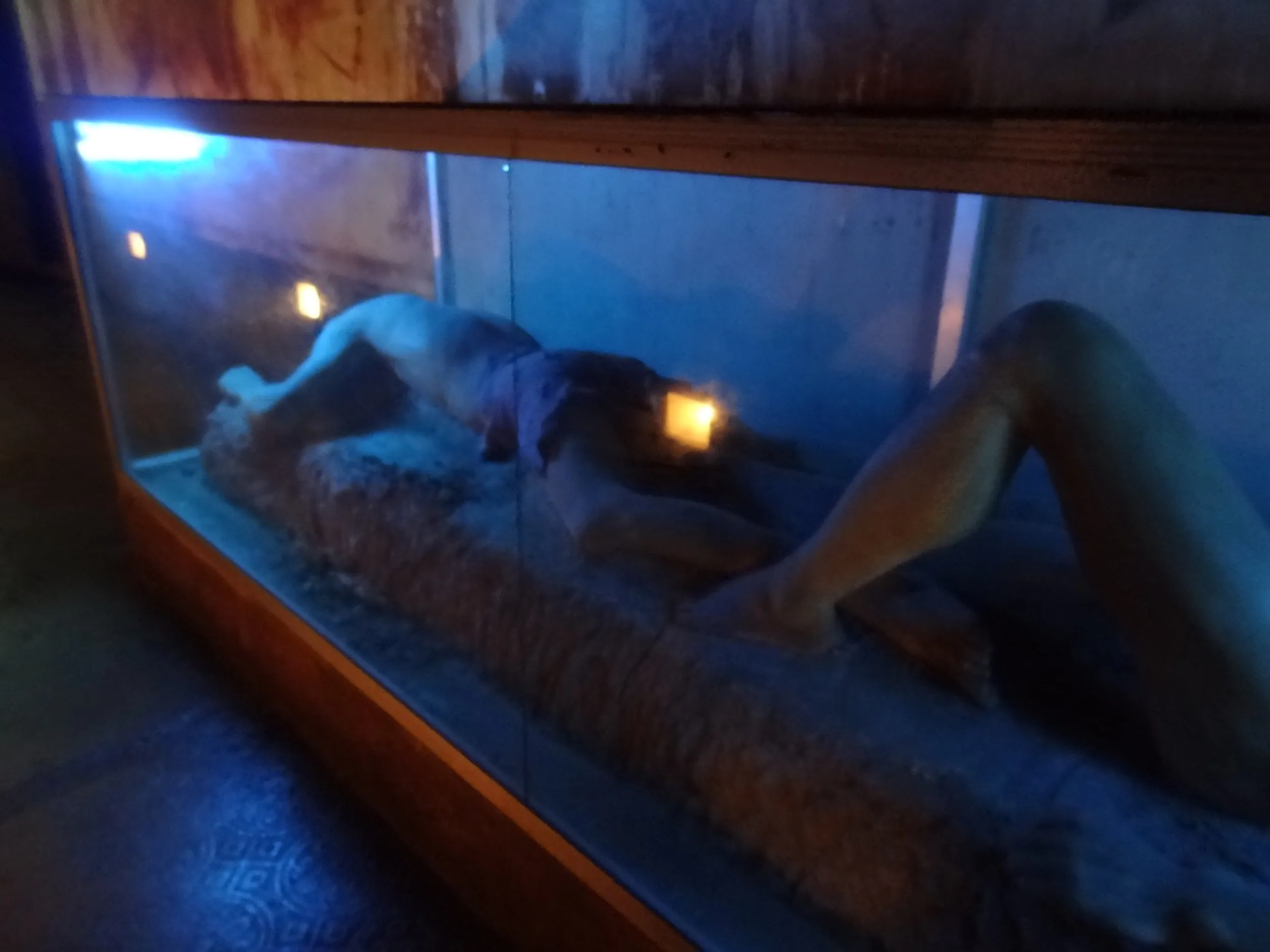 行き倒れた人の人形