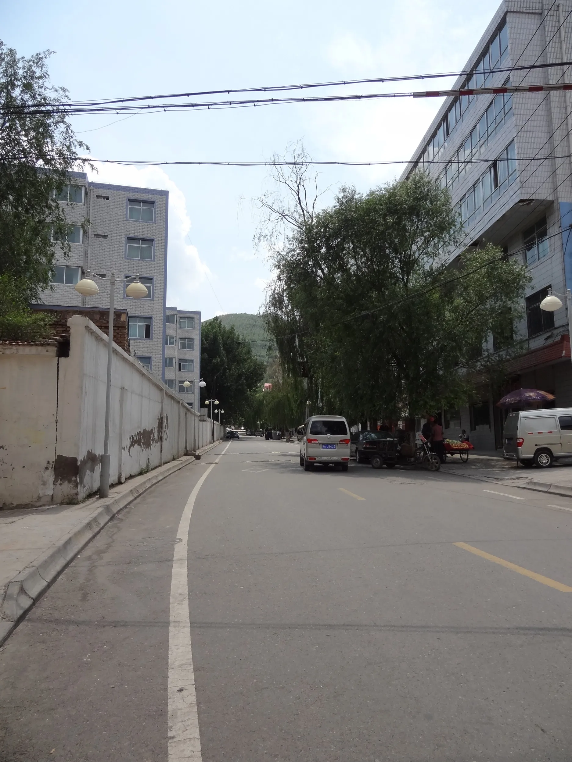 西寧植物園へ続く道