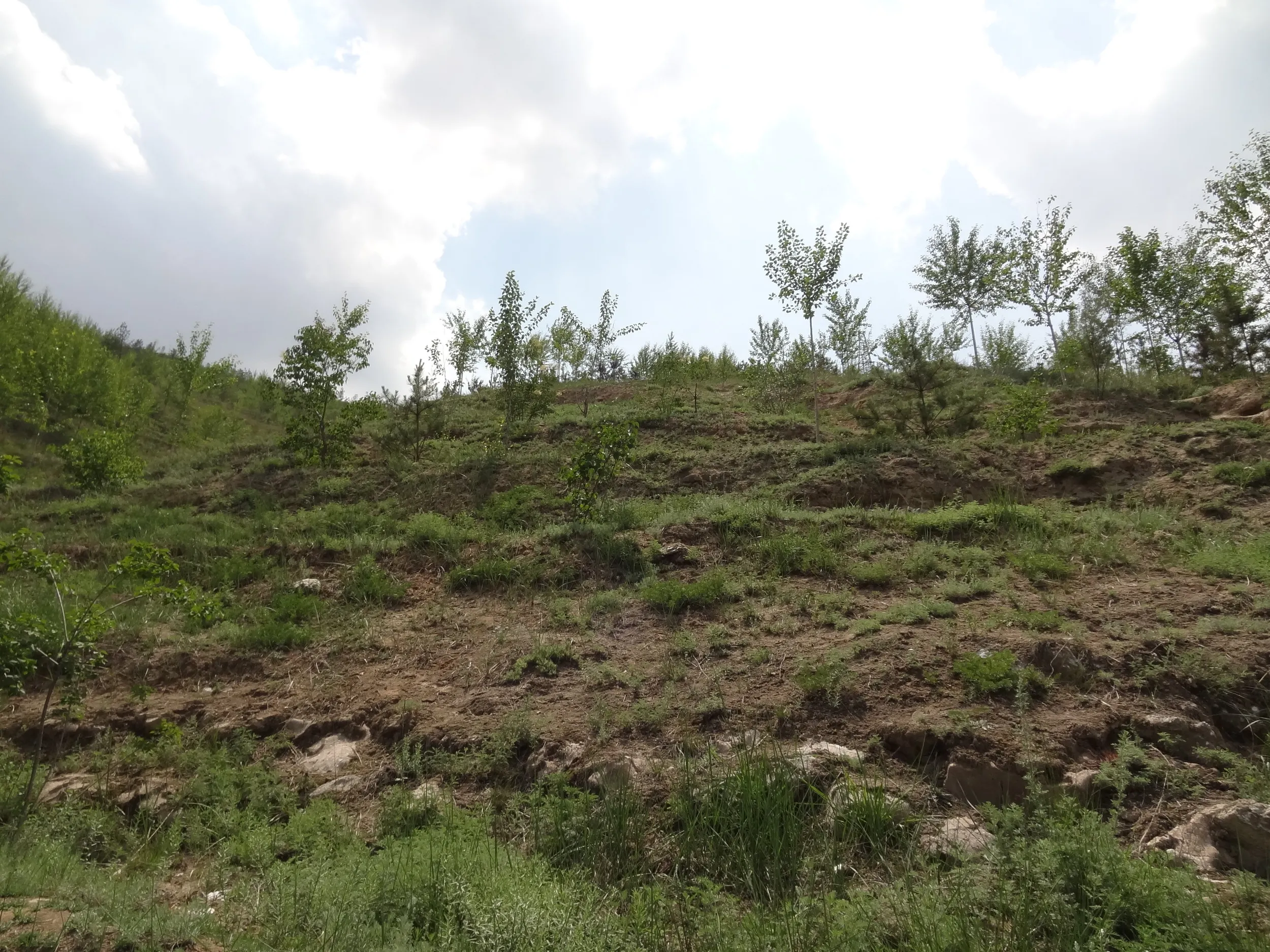 テレビ塔下の風景