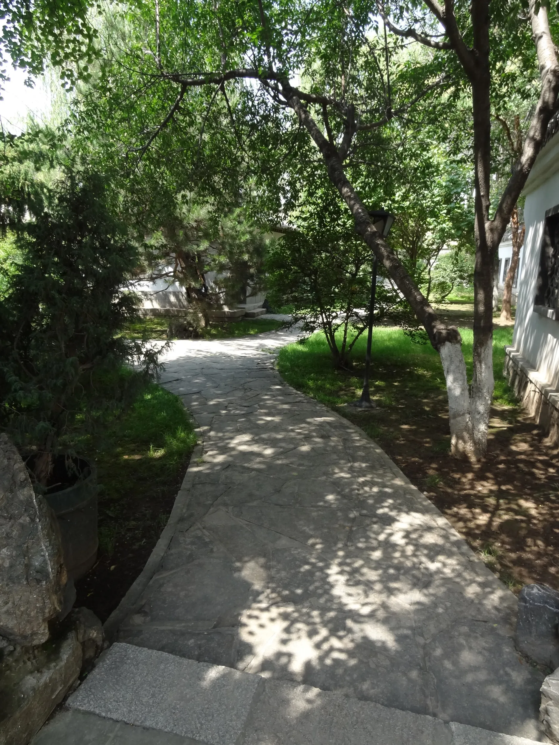 盆景園内の緑道