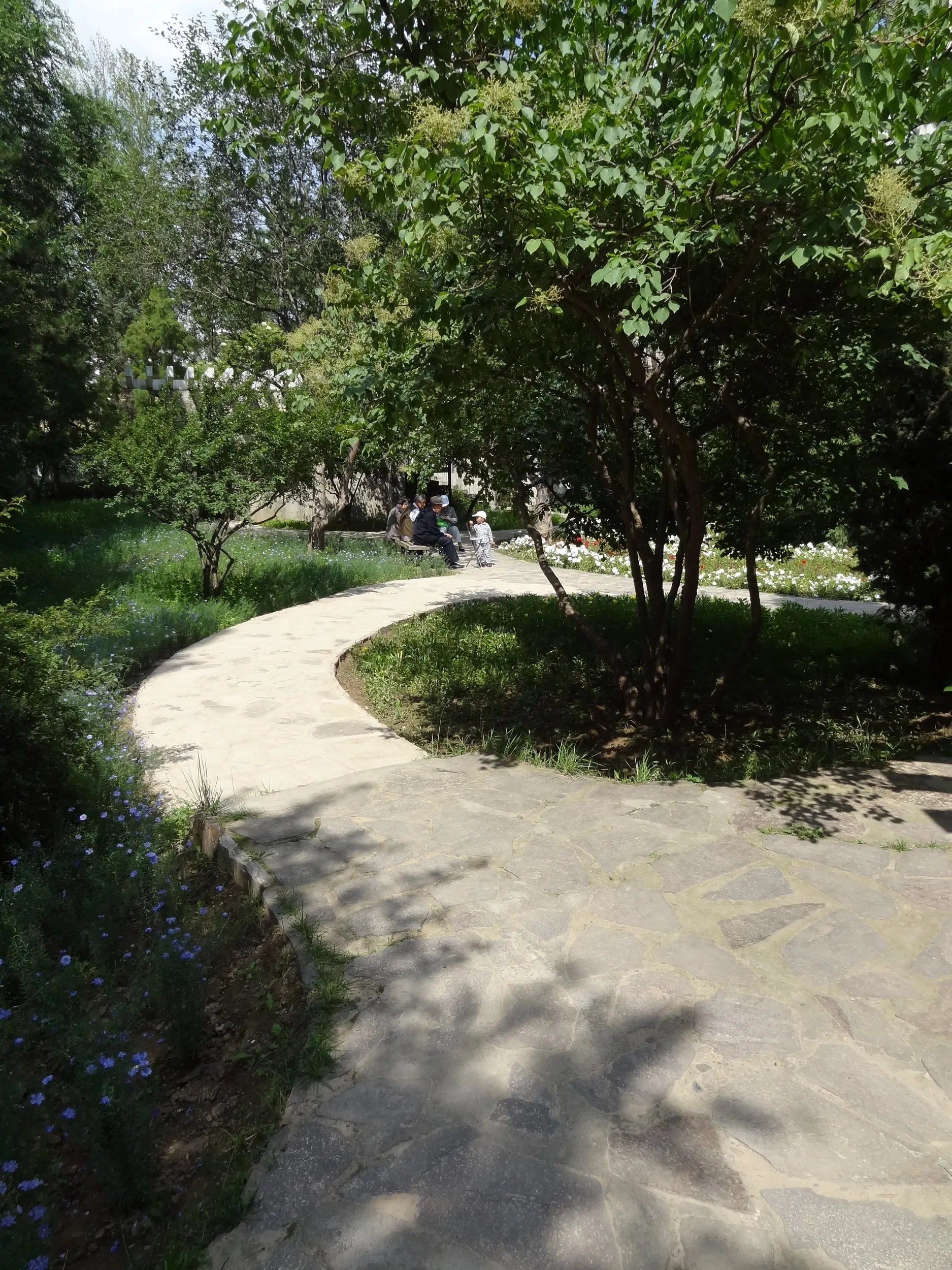 西寧植物園の歩道