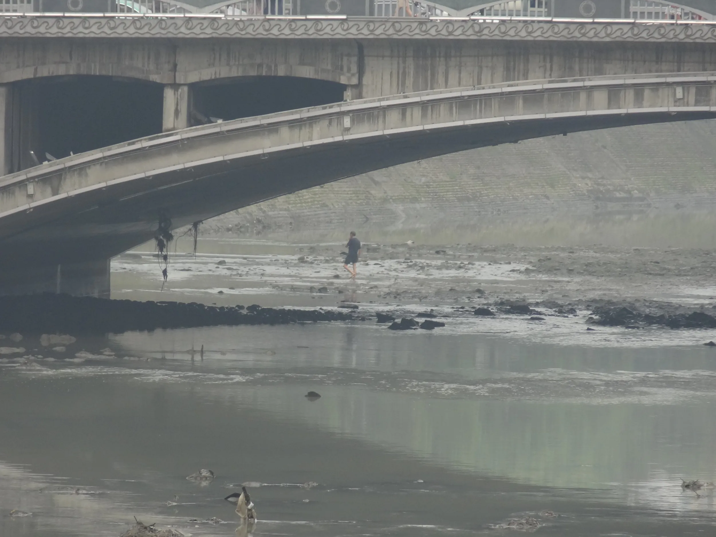錦江の川辺で何かを捕る人