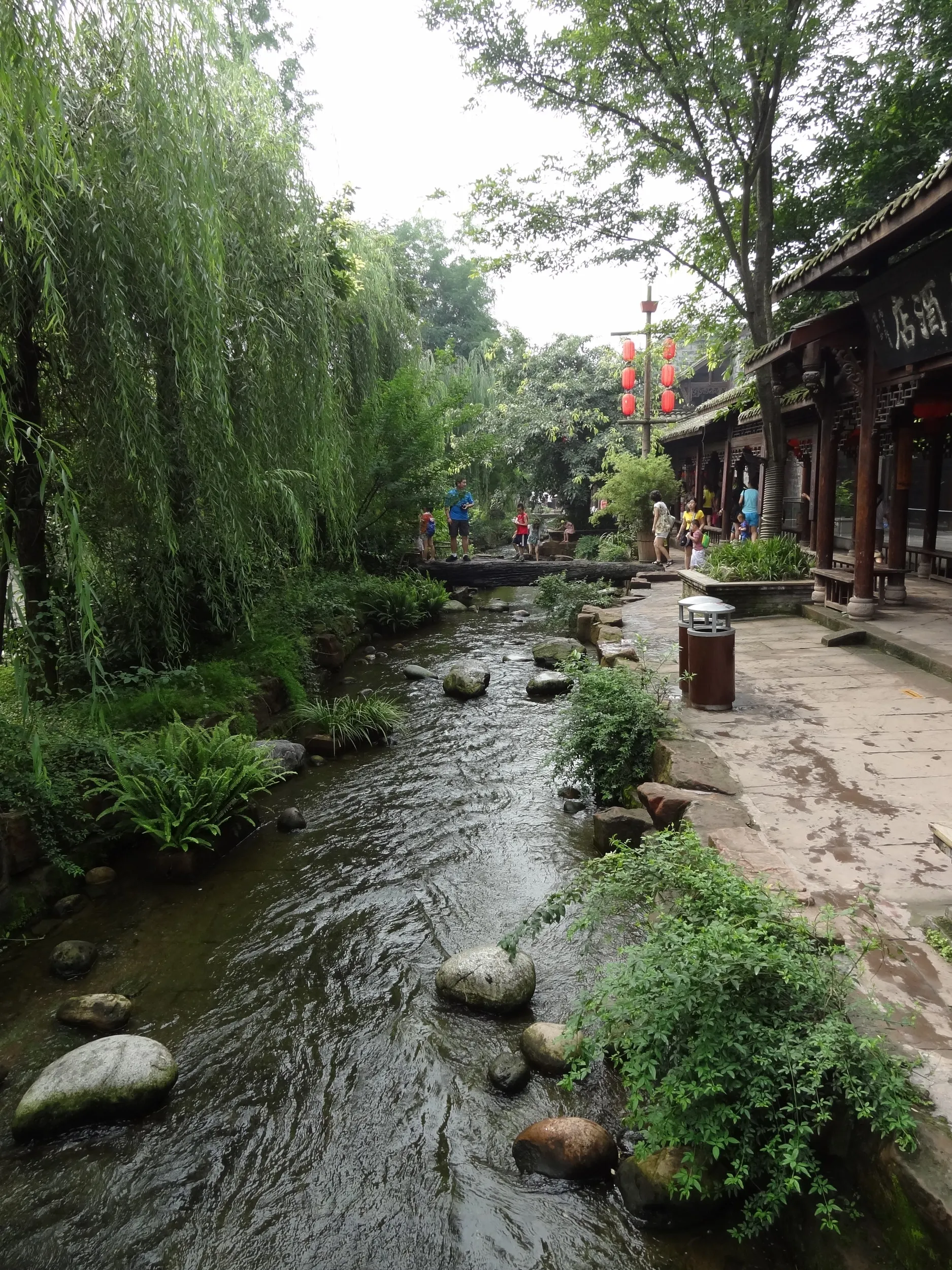 橋から小川を撮影