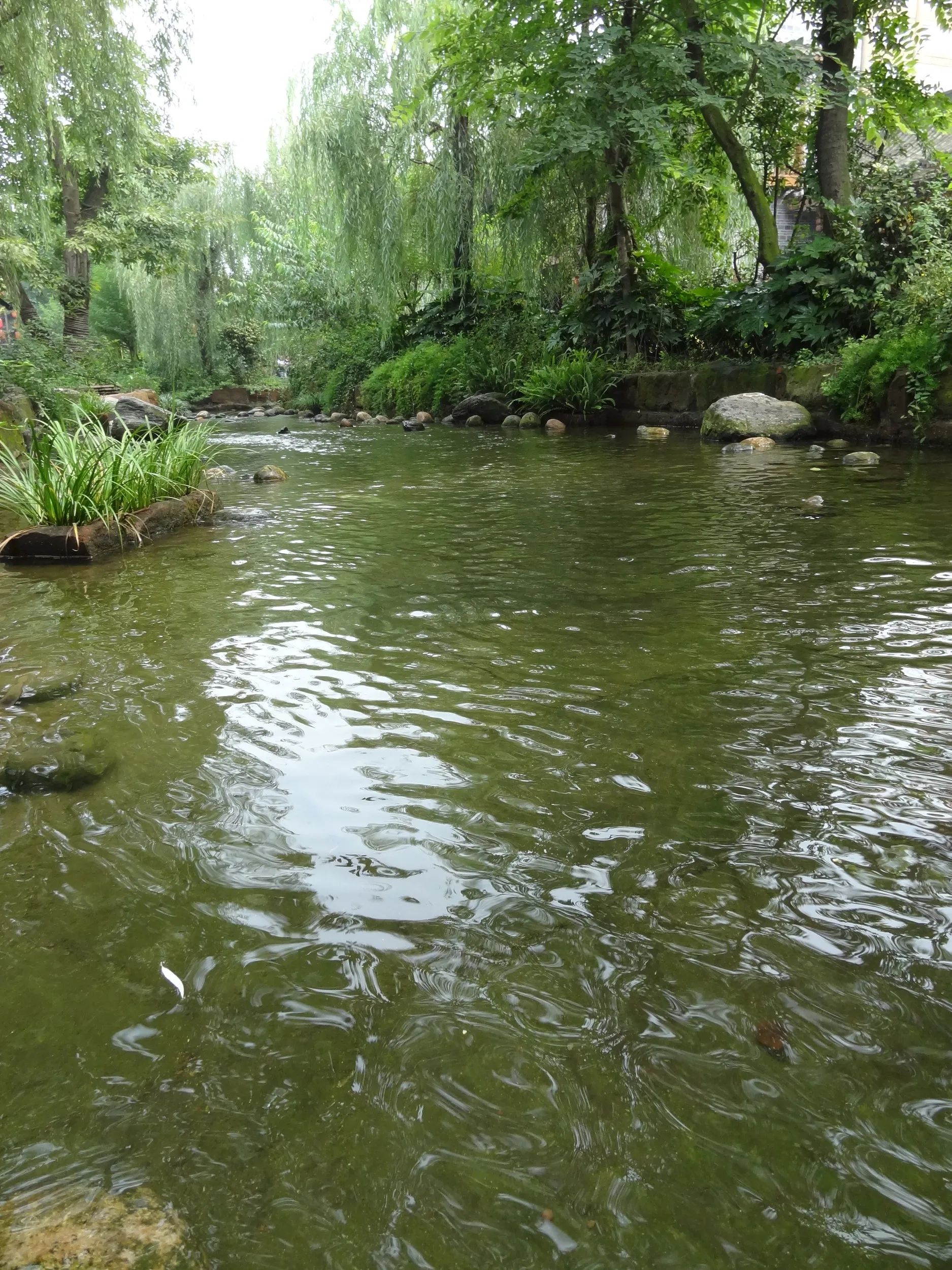 黄龍渓(黄龙溪)を流れる小川