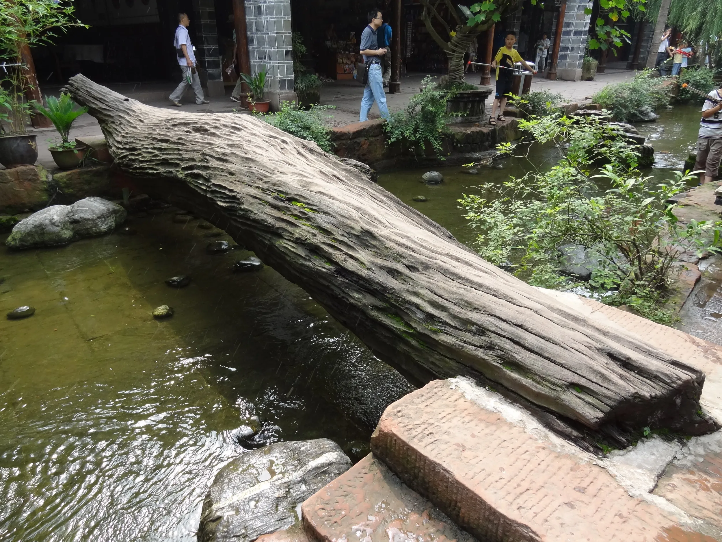 古木を使った橋