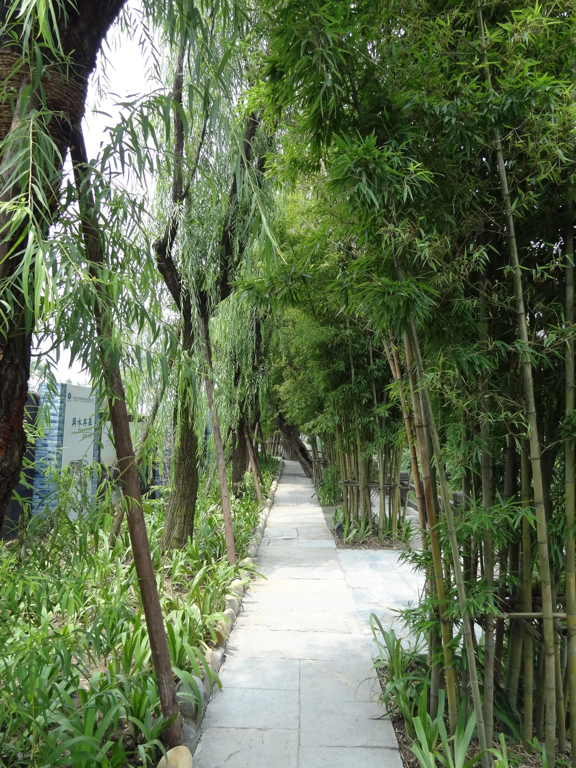 中国庭園の風景