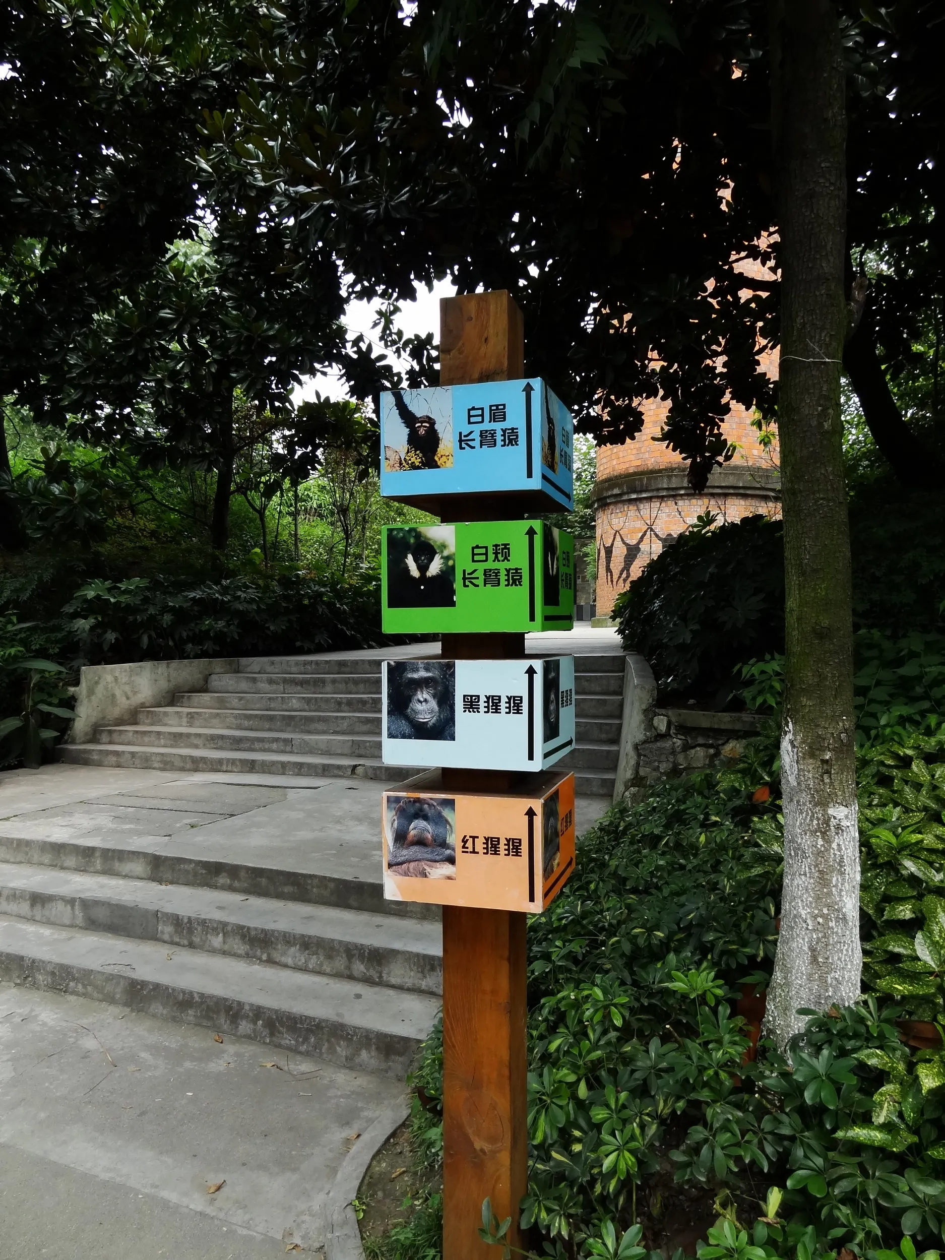 成都動物園内の風景