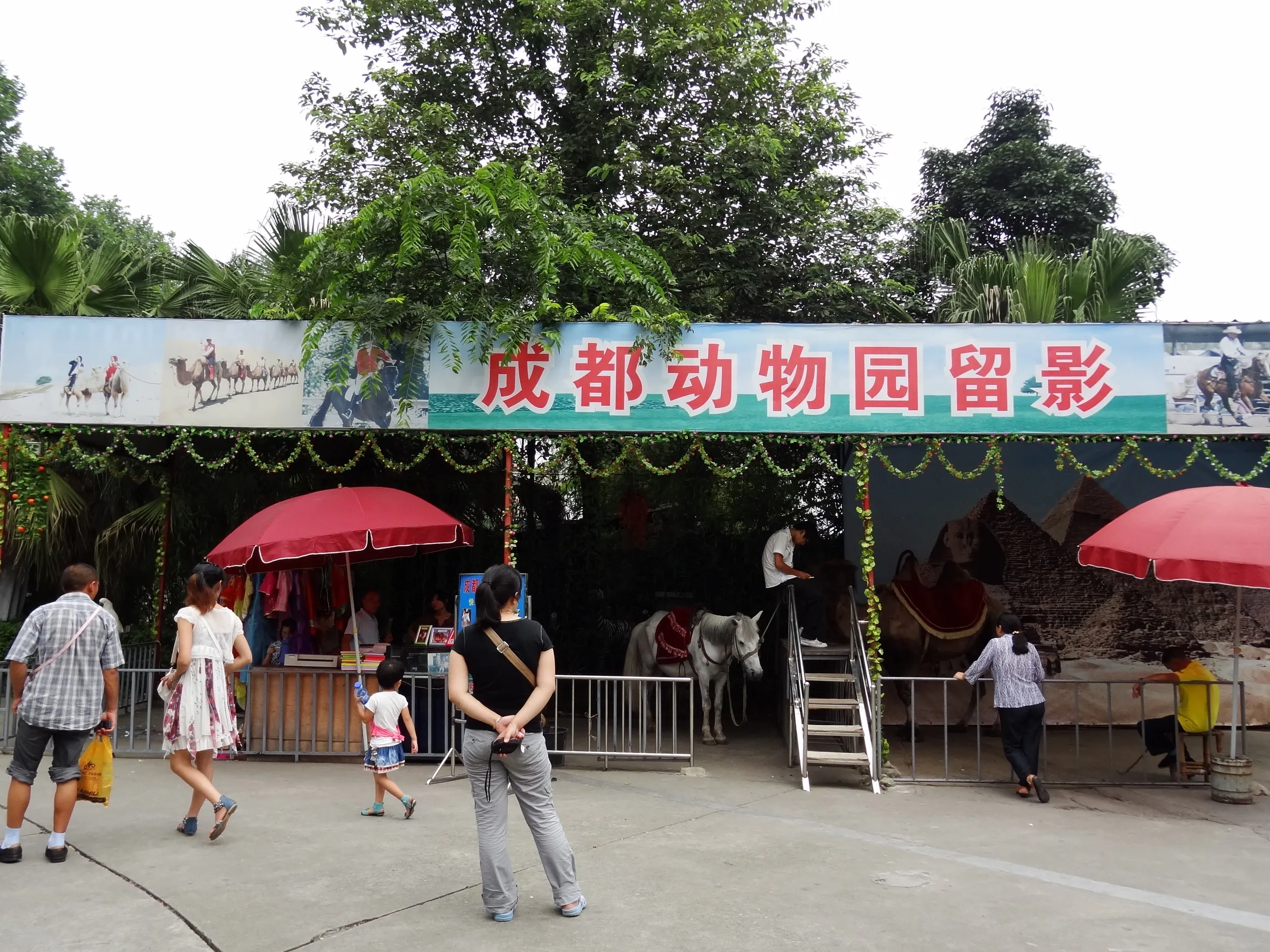 動物と記念撮影が出来るブース